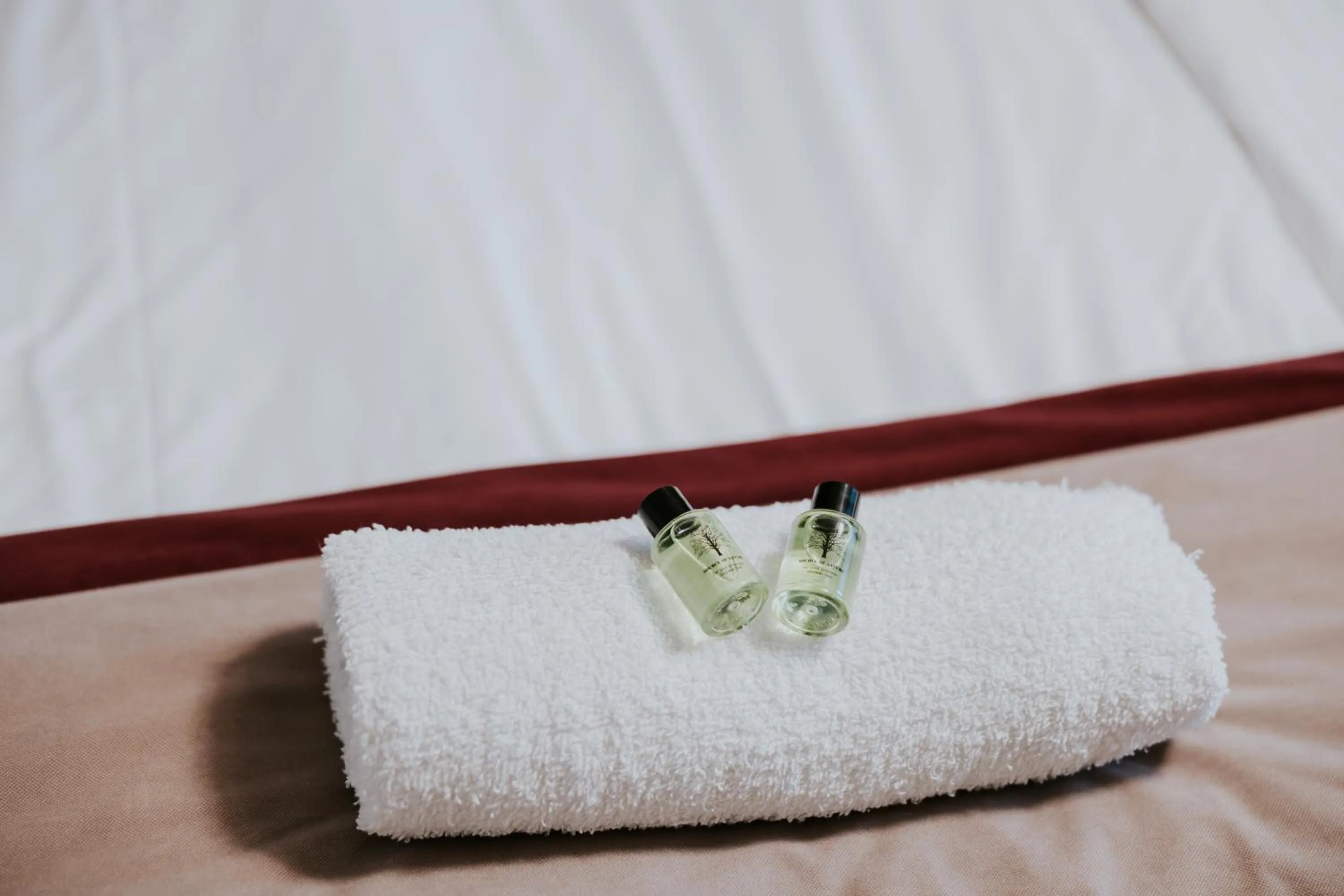 Hotel Weranda Łopuszno