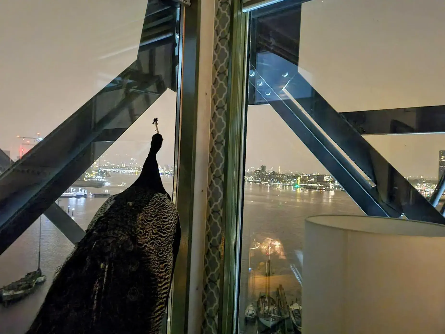 River view in Crane Hotel Faralda River view in Crane Hotel Faralda