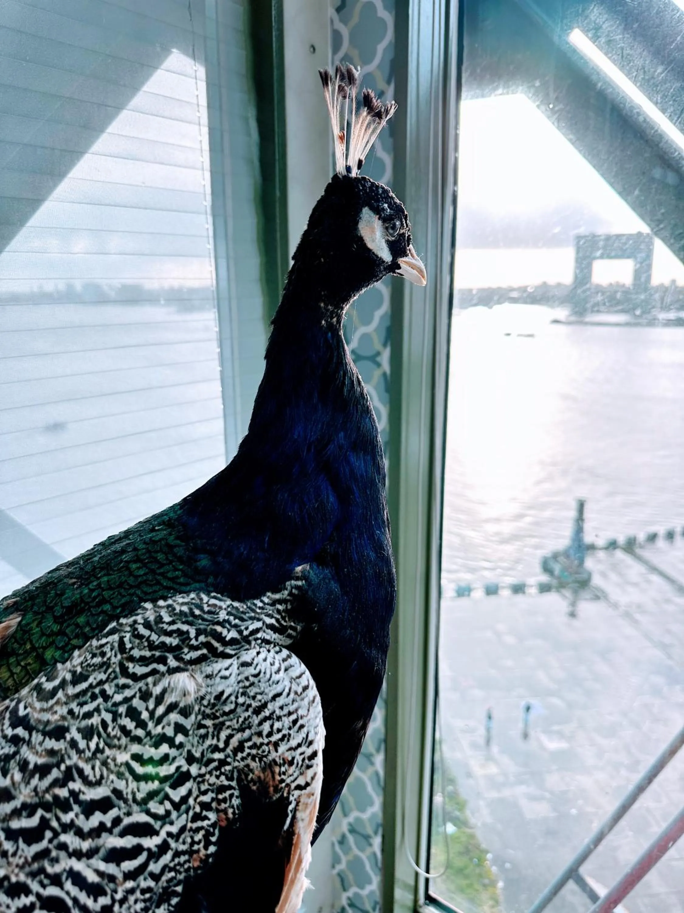 View (from property/room) in Crane Hotel Faralda