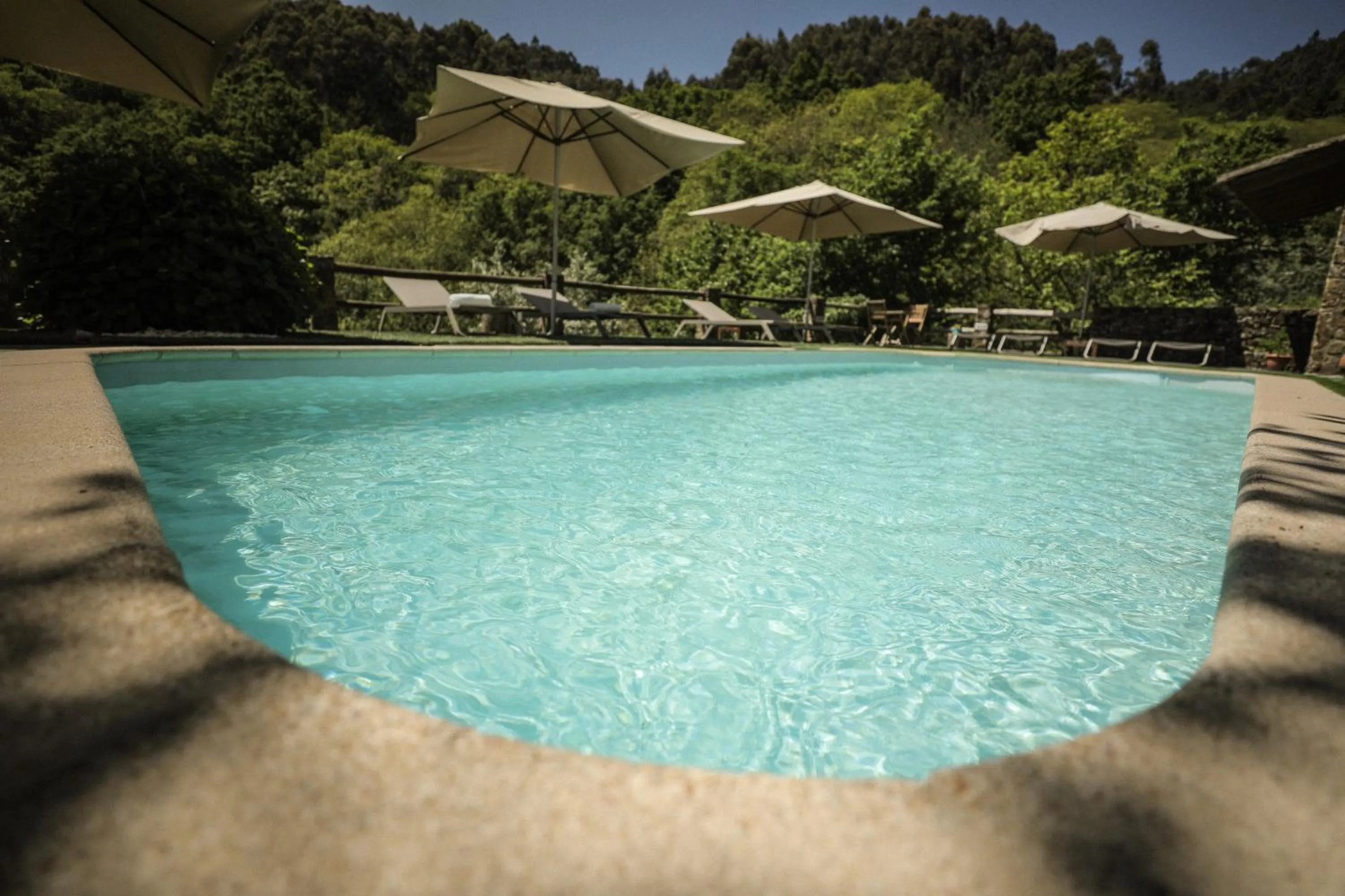 Mountain view in Mountain Whisper