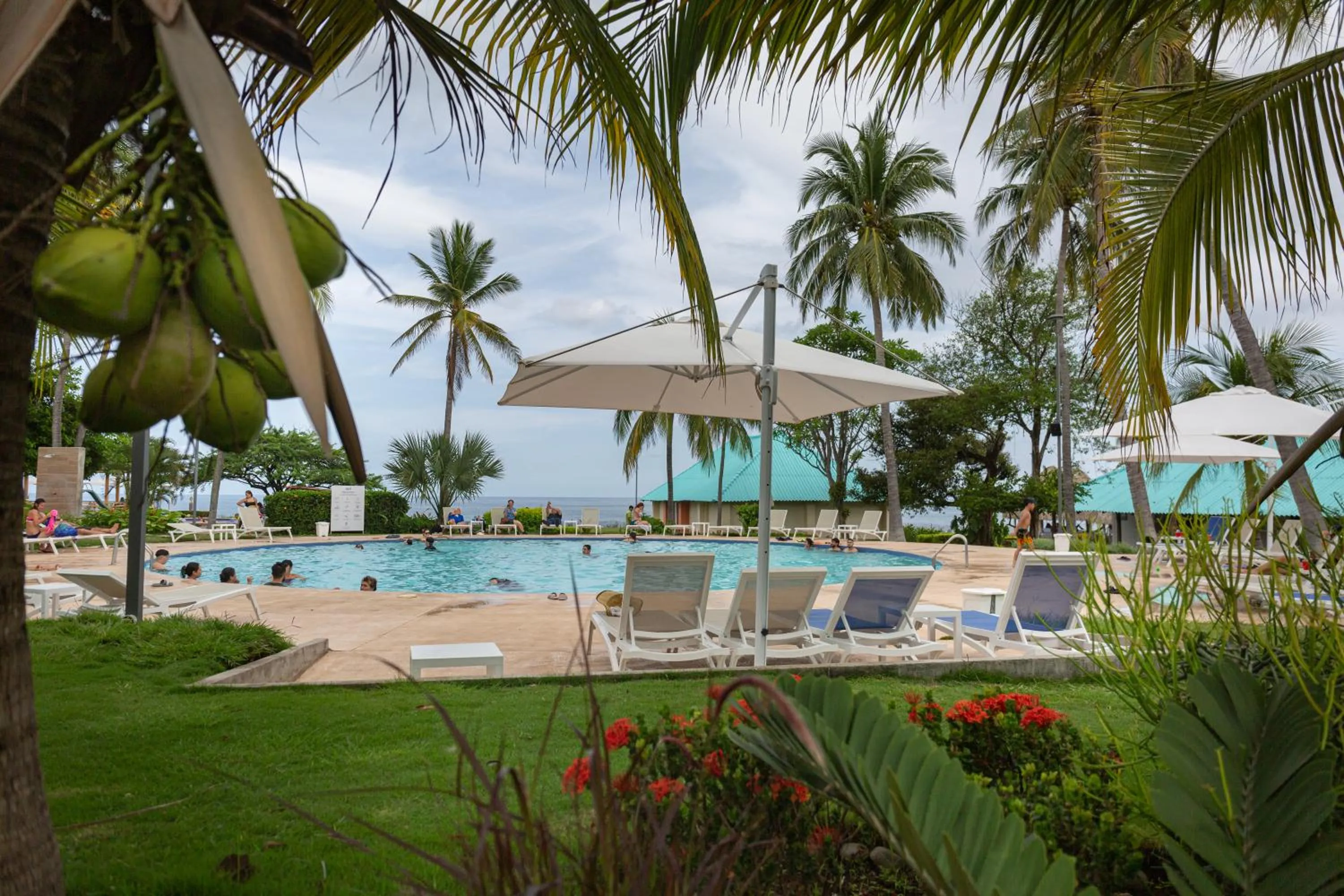 Natural landscape in Atami Escape Resort