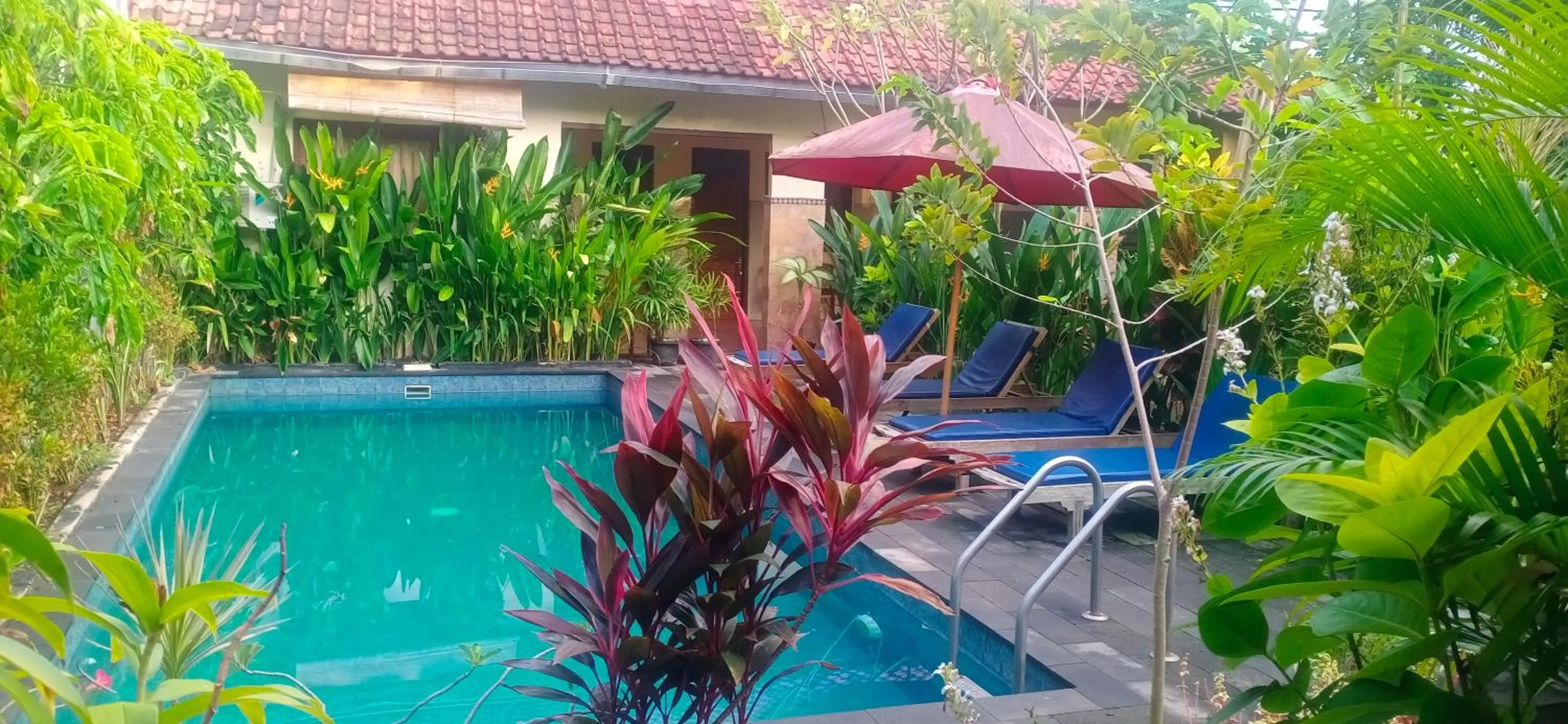 Swimming pool in Visual inn