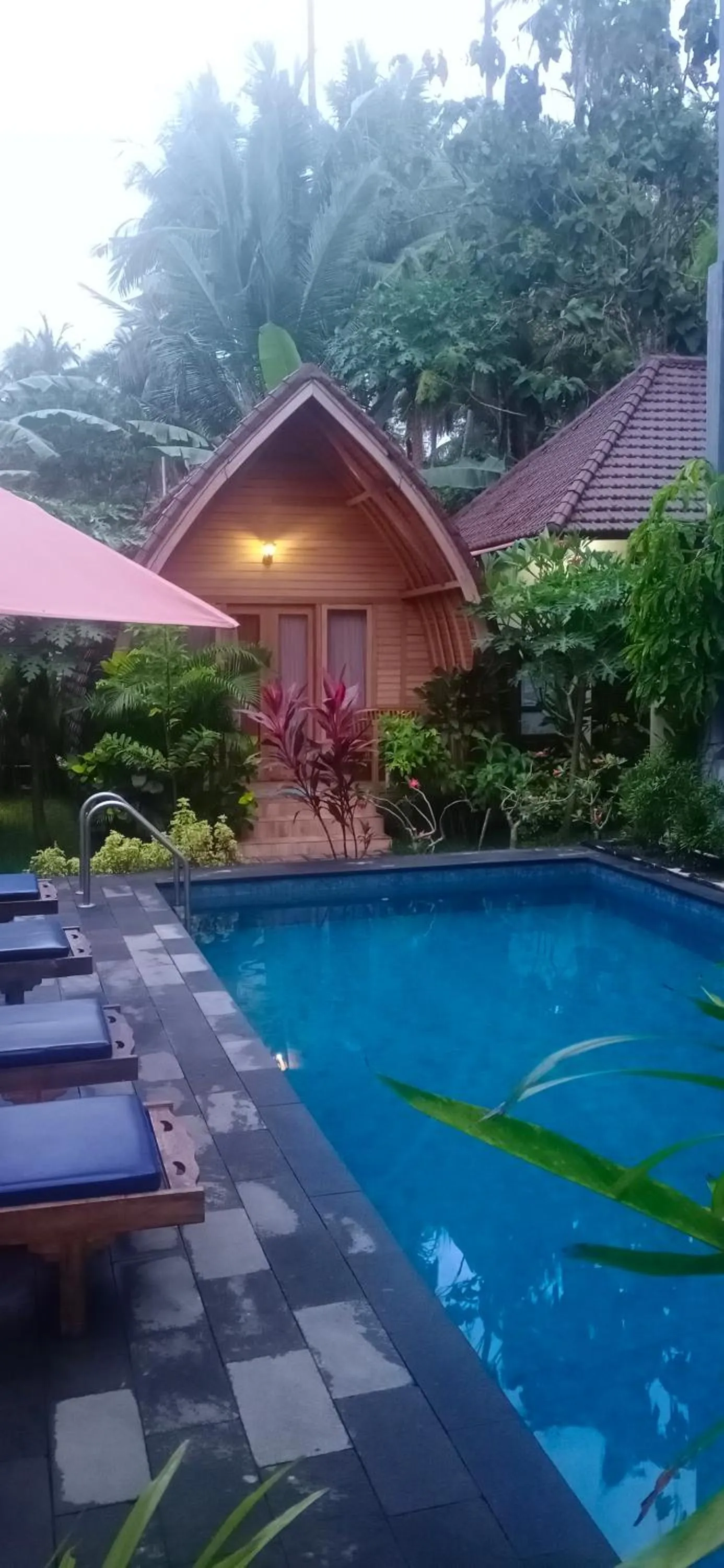 Pool view in Visual inn