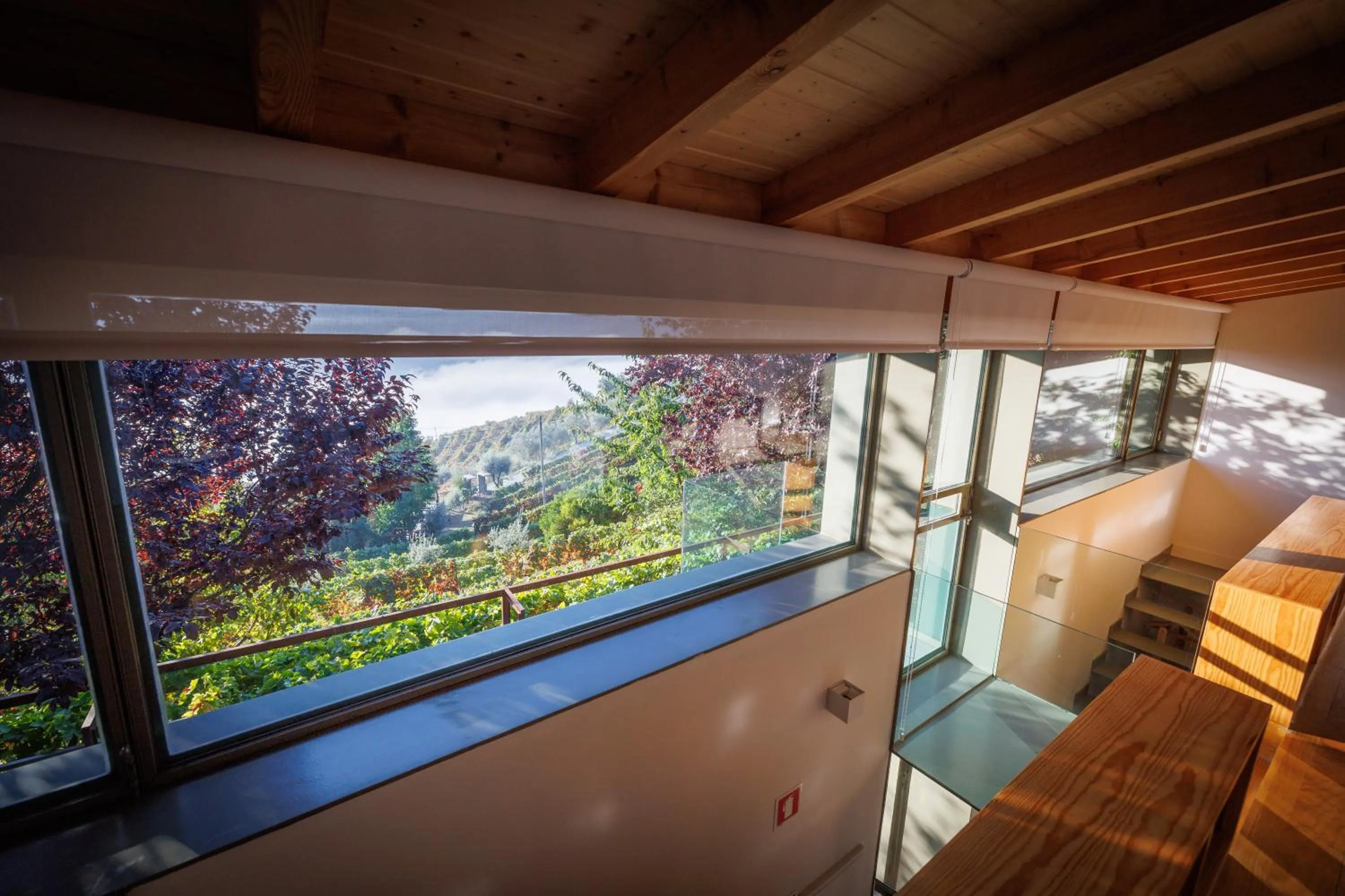 Garden view in Vila Marim Country Houses