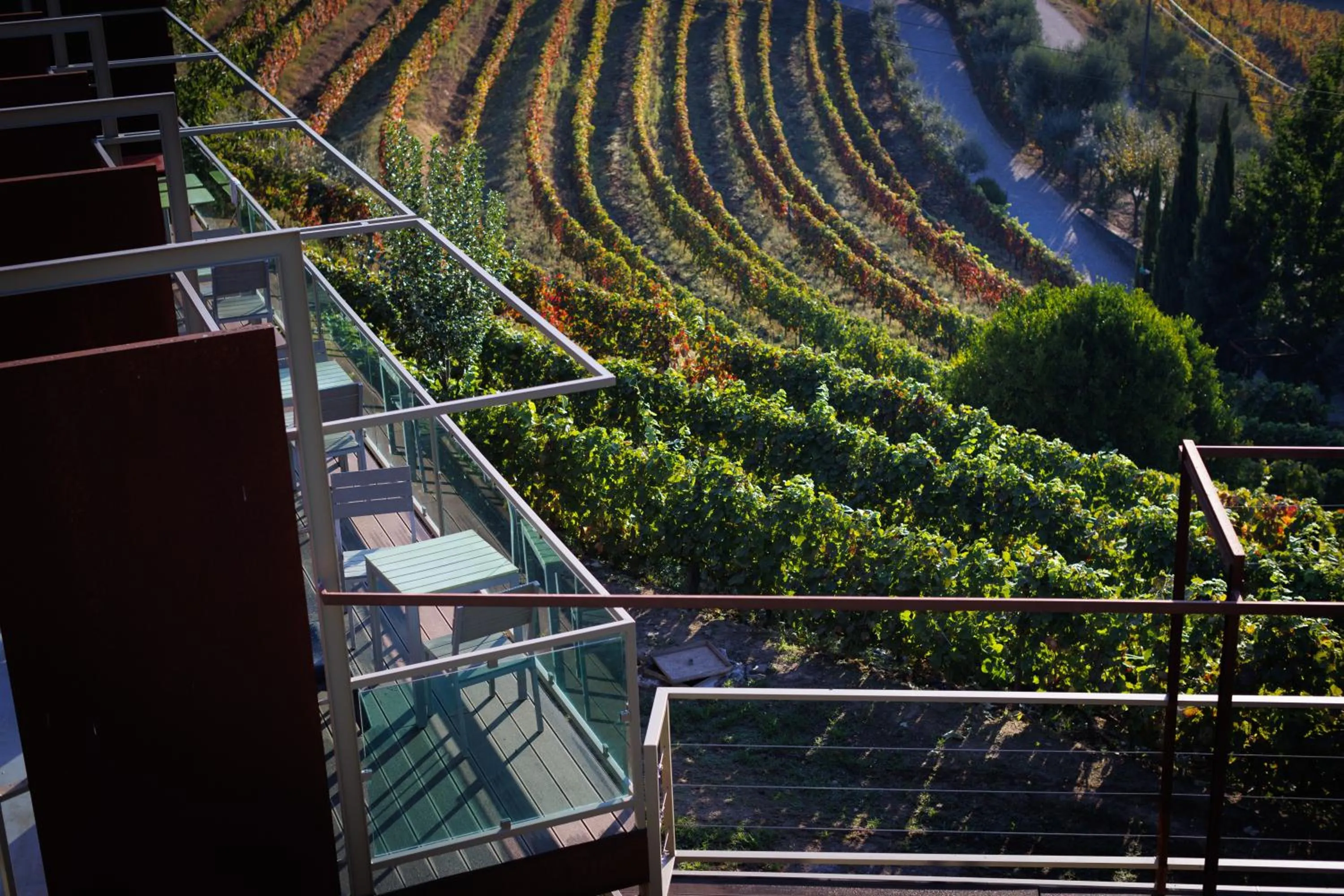 Garden view in Vila Marim Country Houses