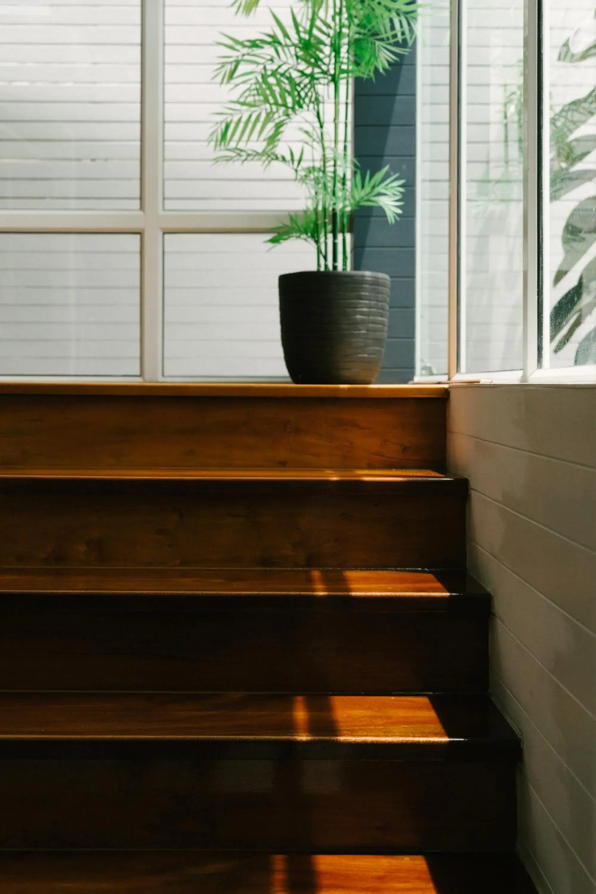 Wynn Villa Wynn Villa