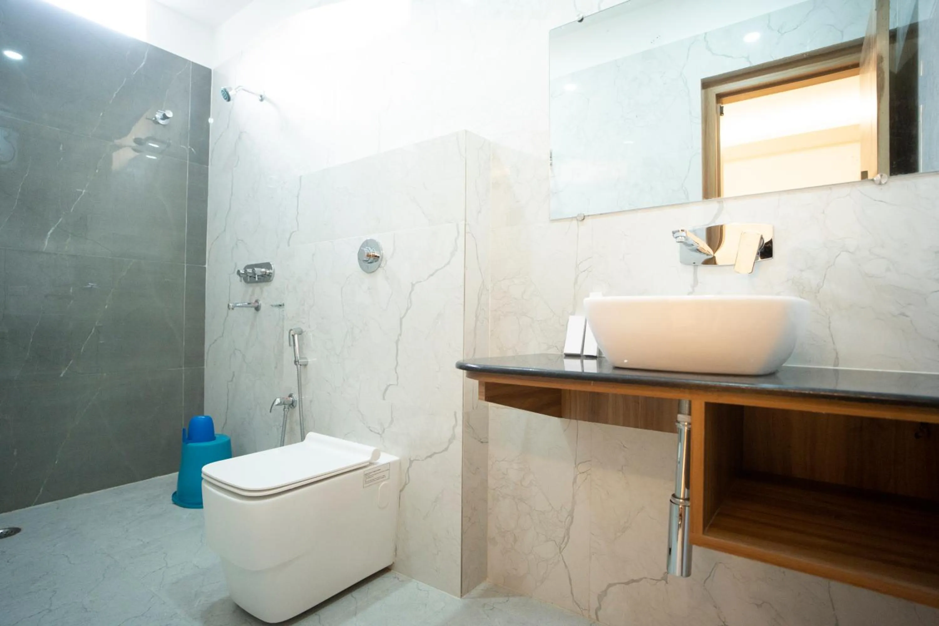 Bathroom in Hotel Shanti International