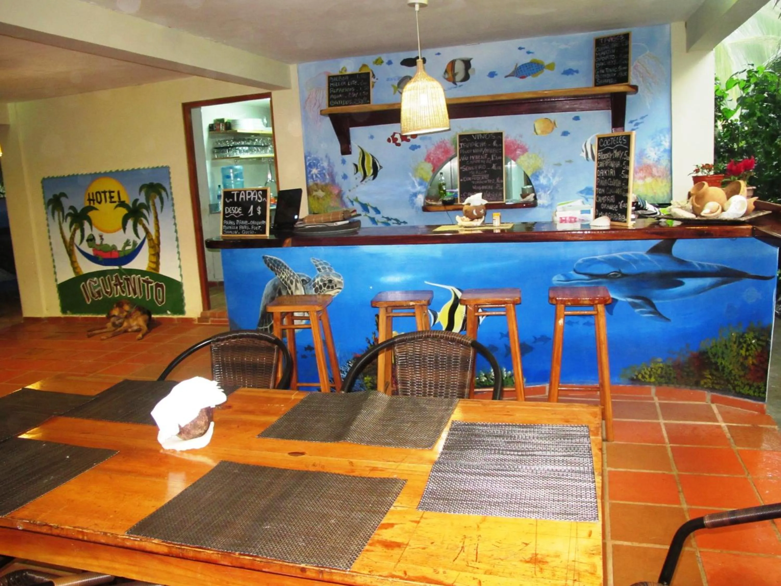 Restaurant/places to eat in Hotel Iguanito