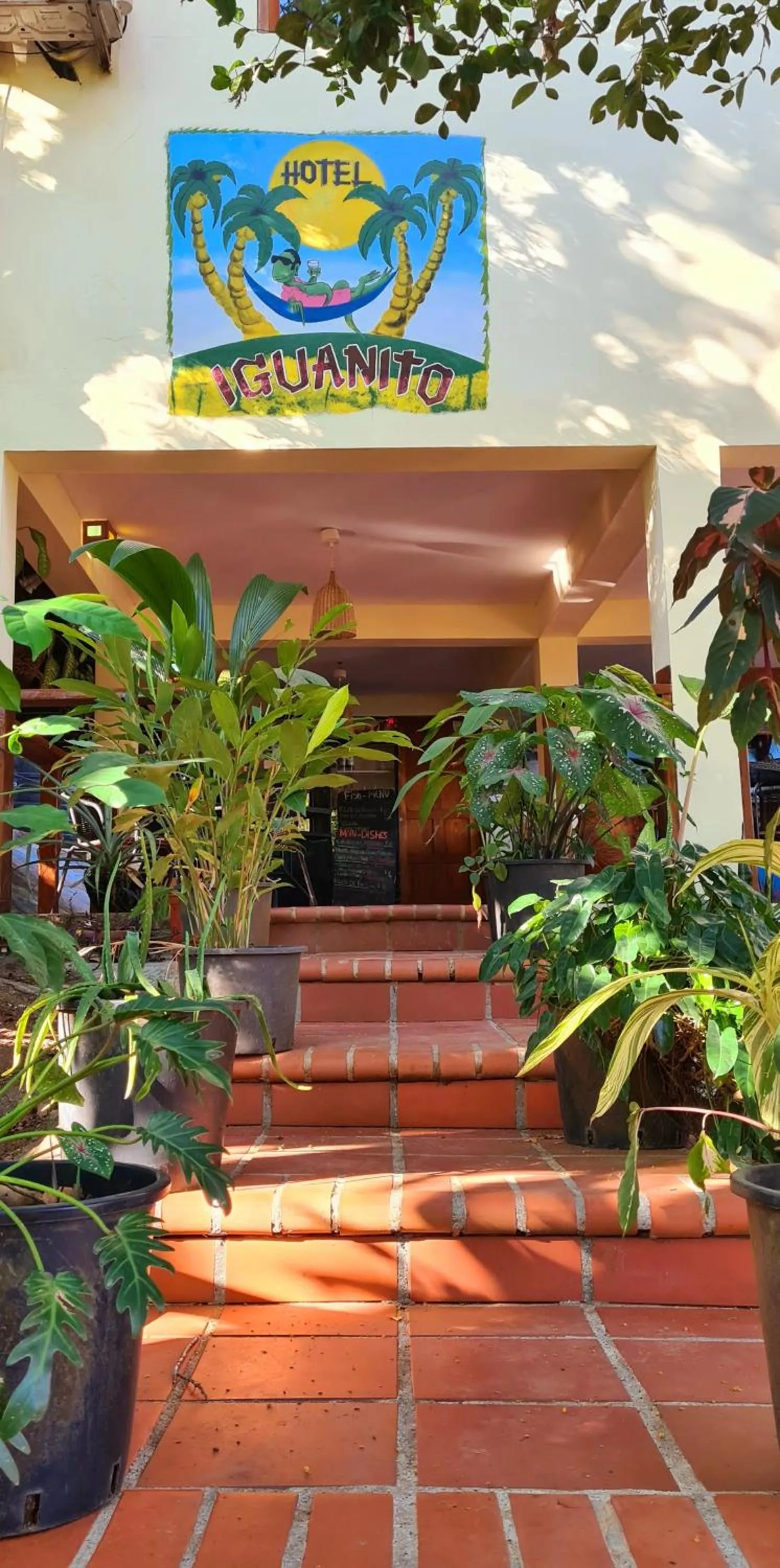 Property building in Hotel Iguanito