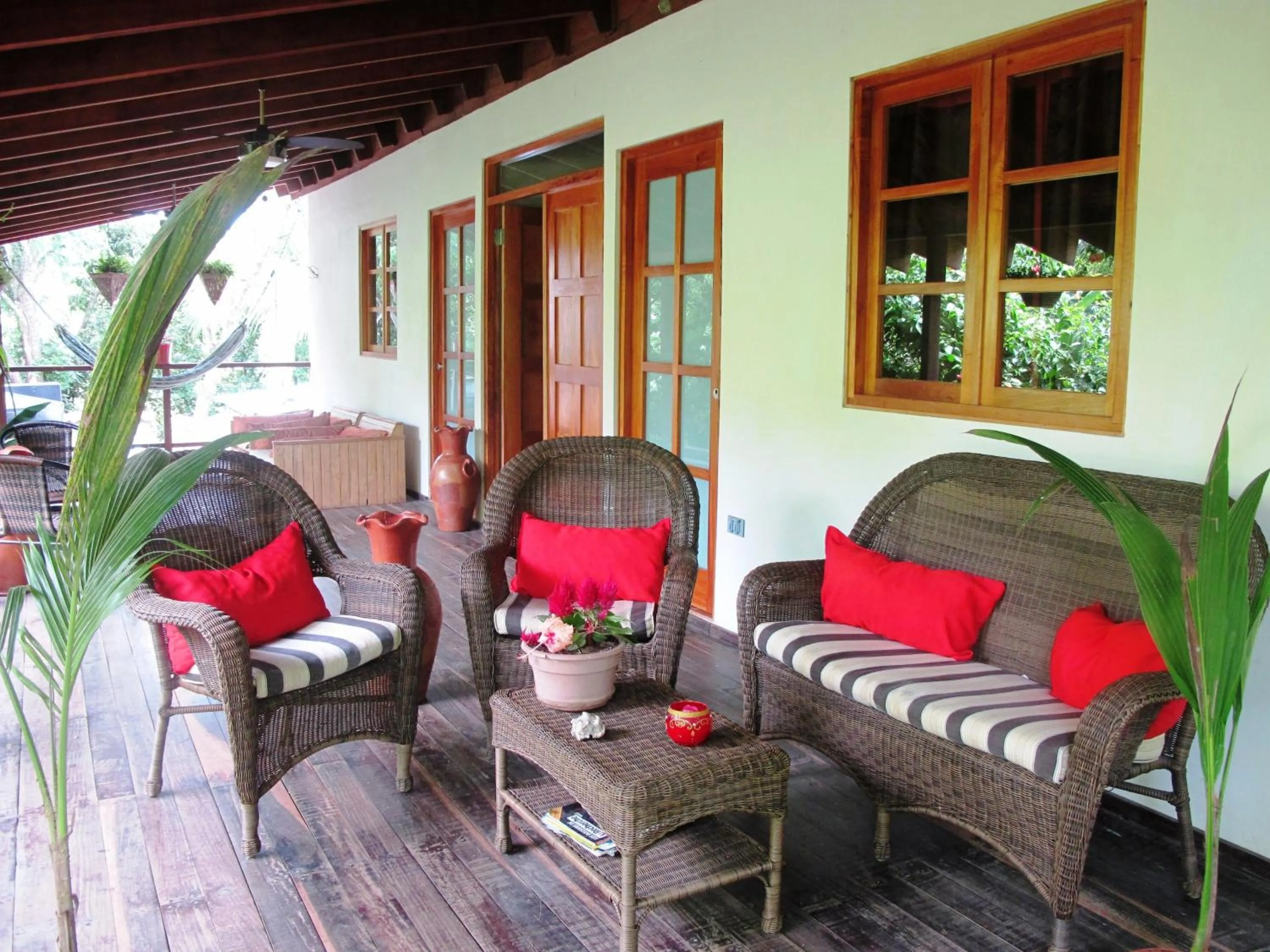 Balcony/Terrace in Hotel Iguanito