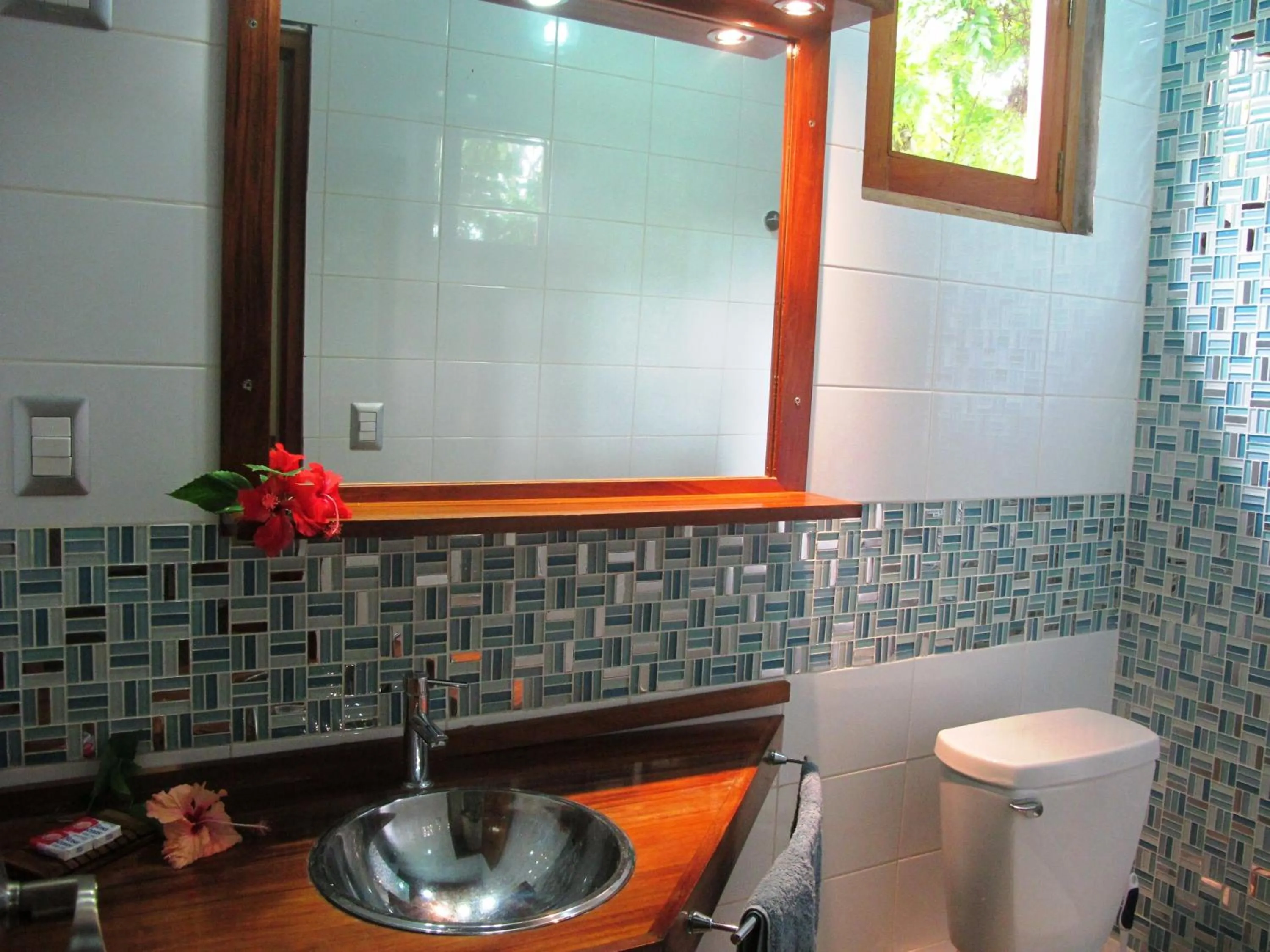 Bathroom in Hotel Iguanito