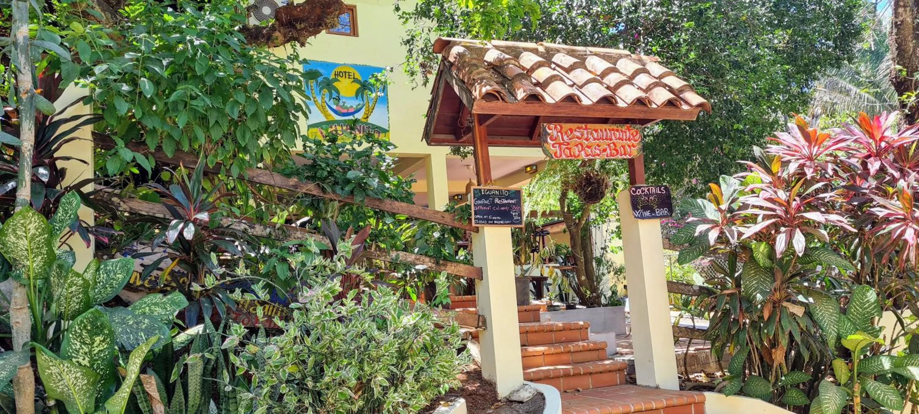 Property building in Hotel Iguanito