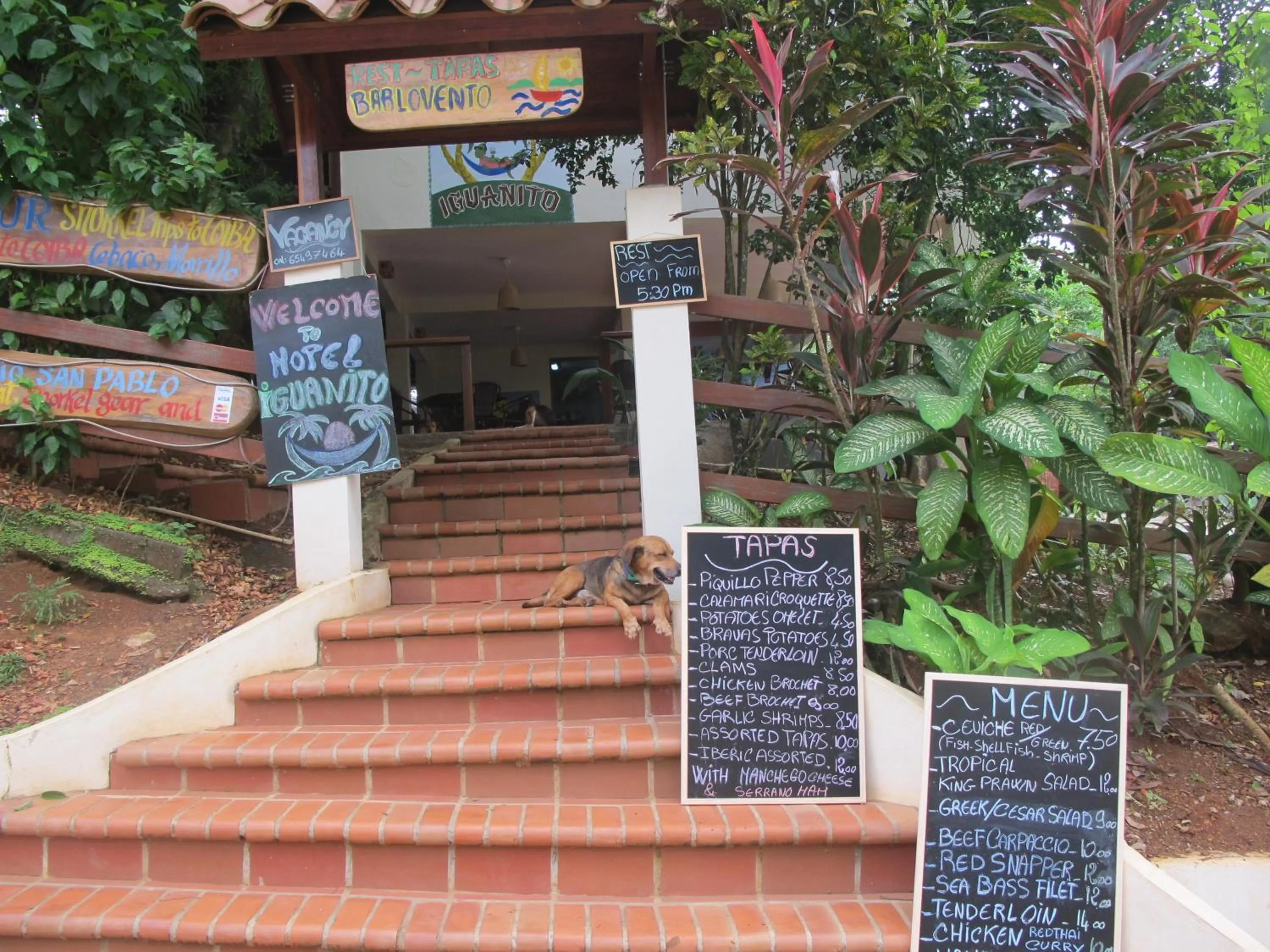 Facade/entrance in Hotel Iguanito
