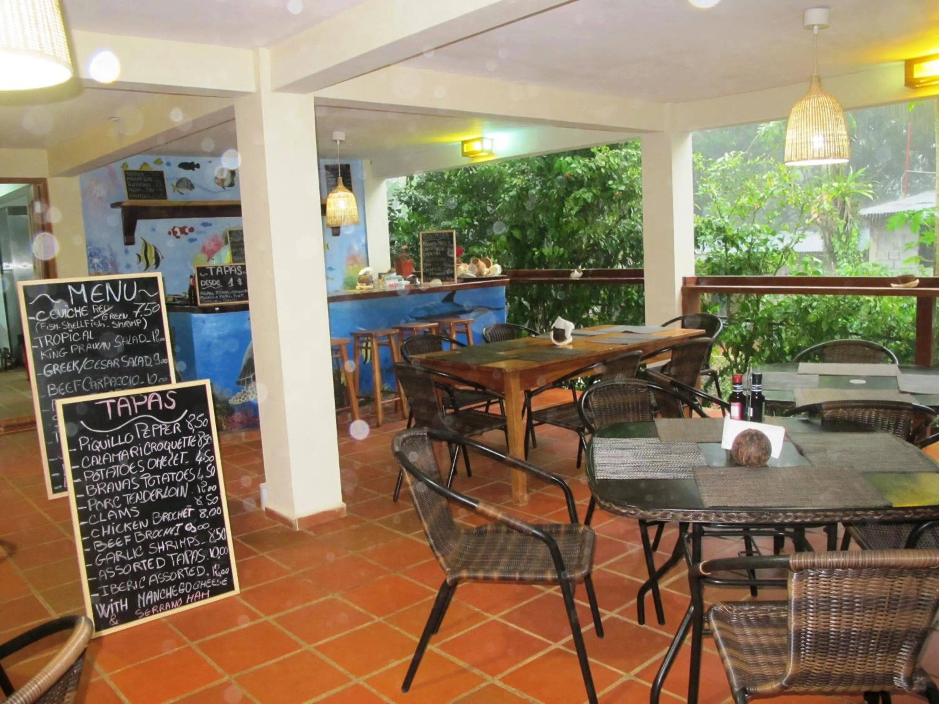 Lounge or bar in Hotel Iguanito