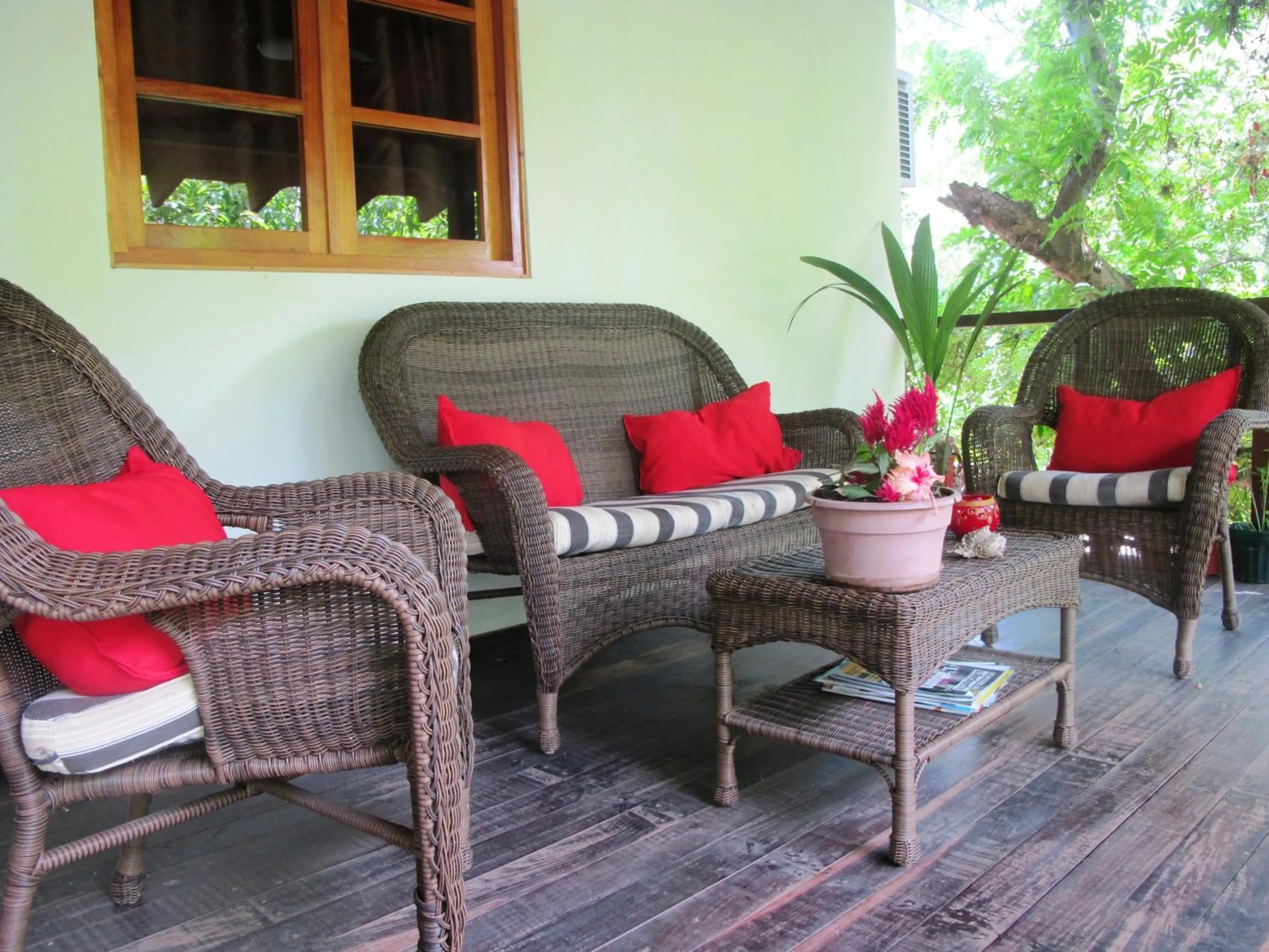Natural landscape in Hotel Iguanito