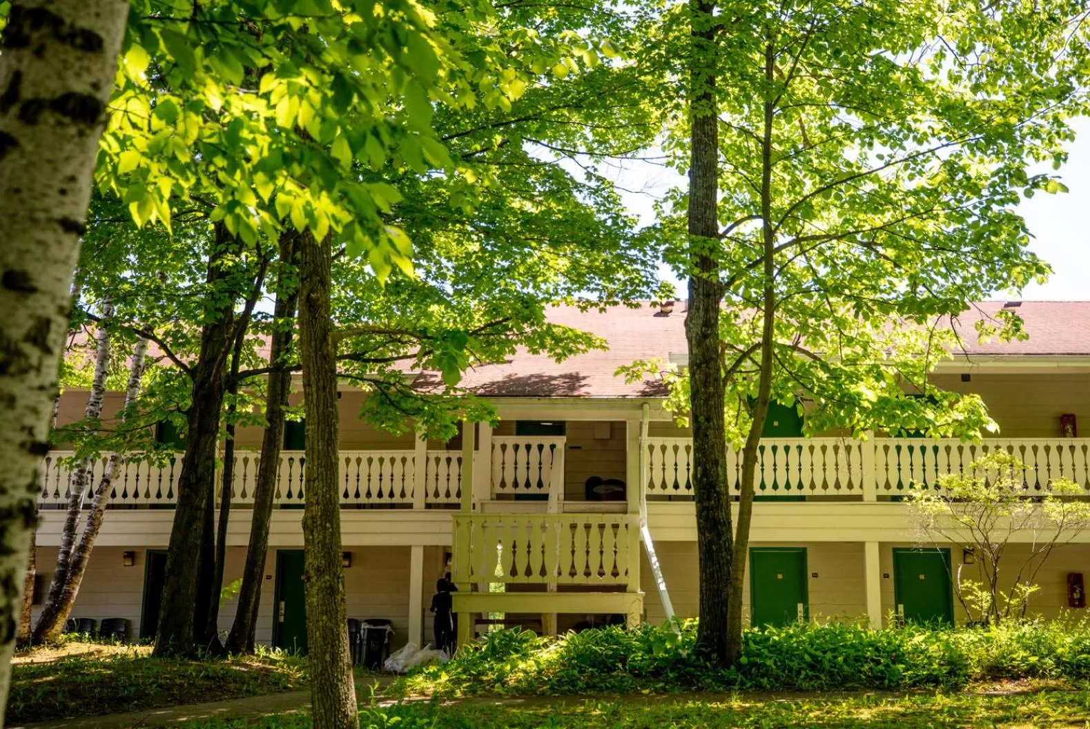 Property building in Parkwood Lodge