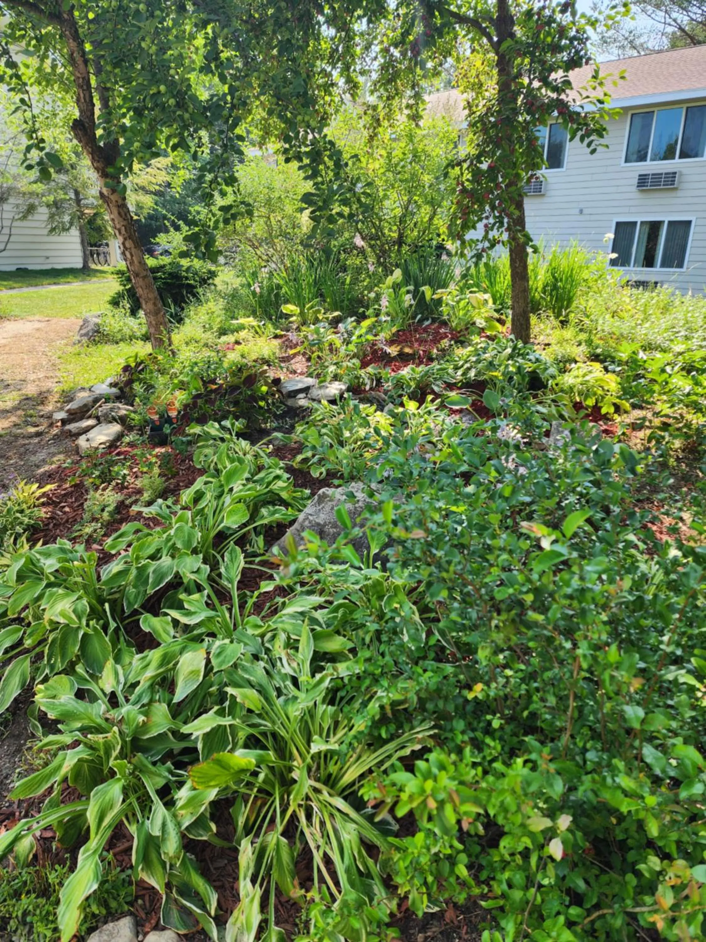Garden in Parkwood Lodge