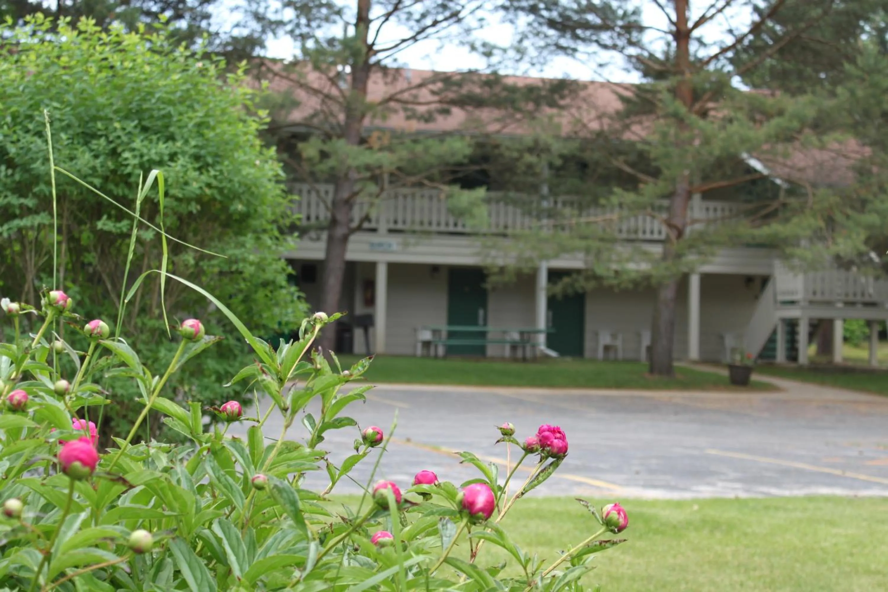 Facade/entrance in Parkwood Lodge