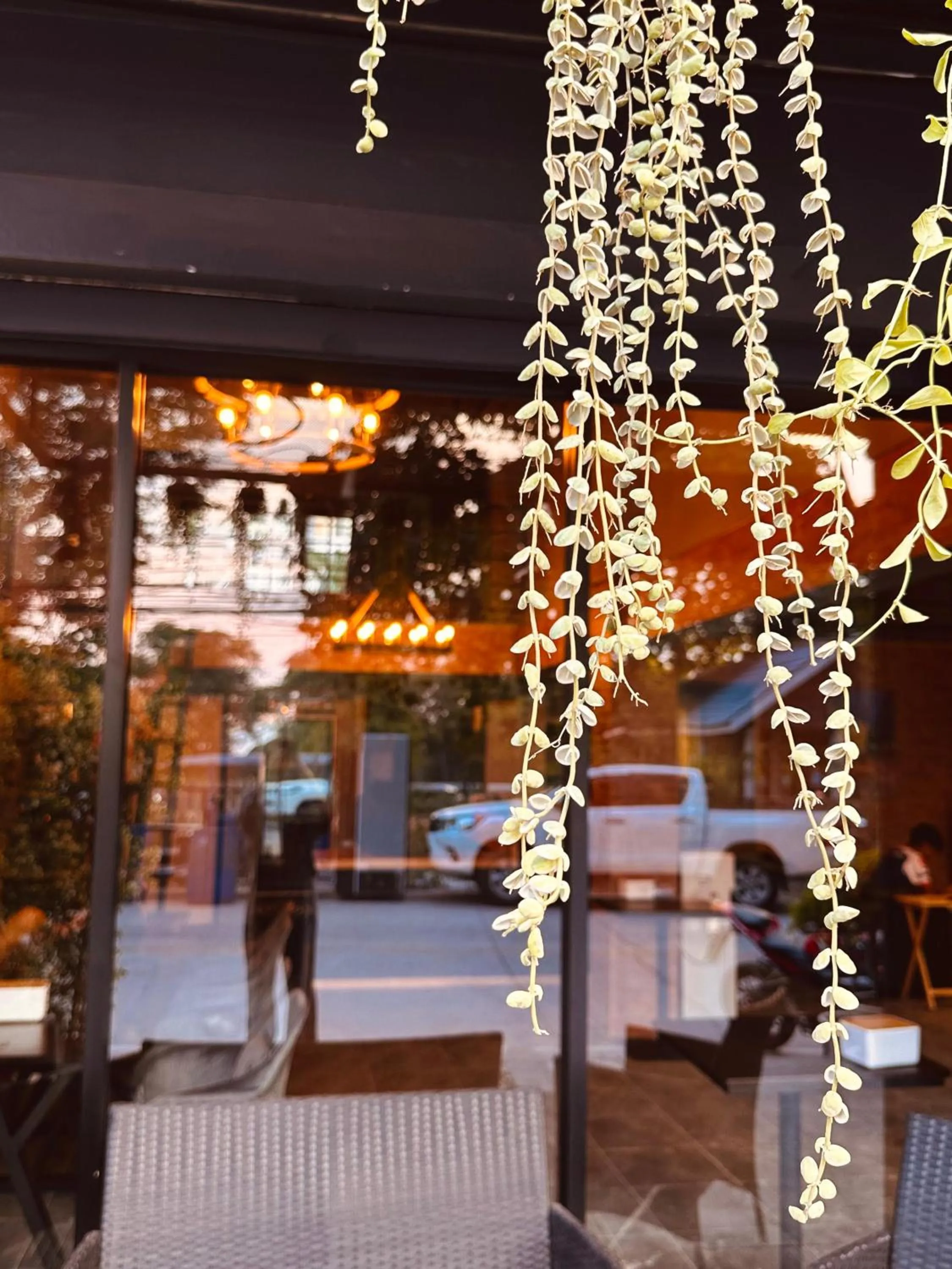 Hostel Friends Station & Cafe