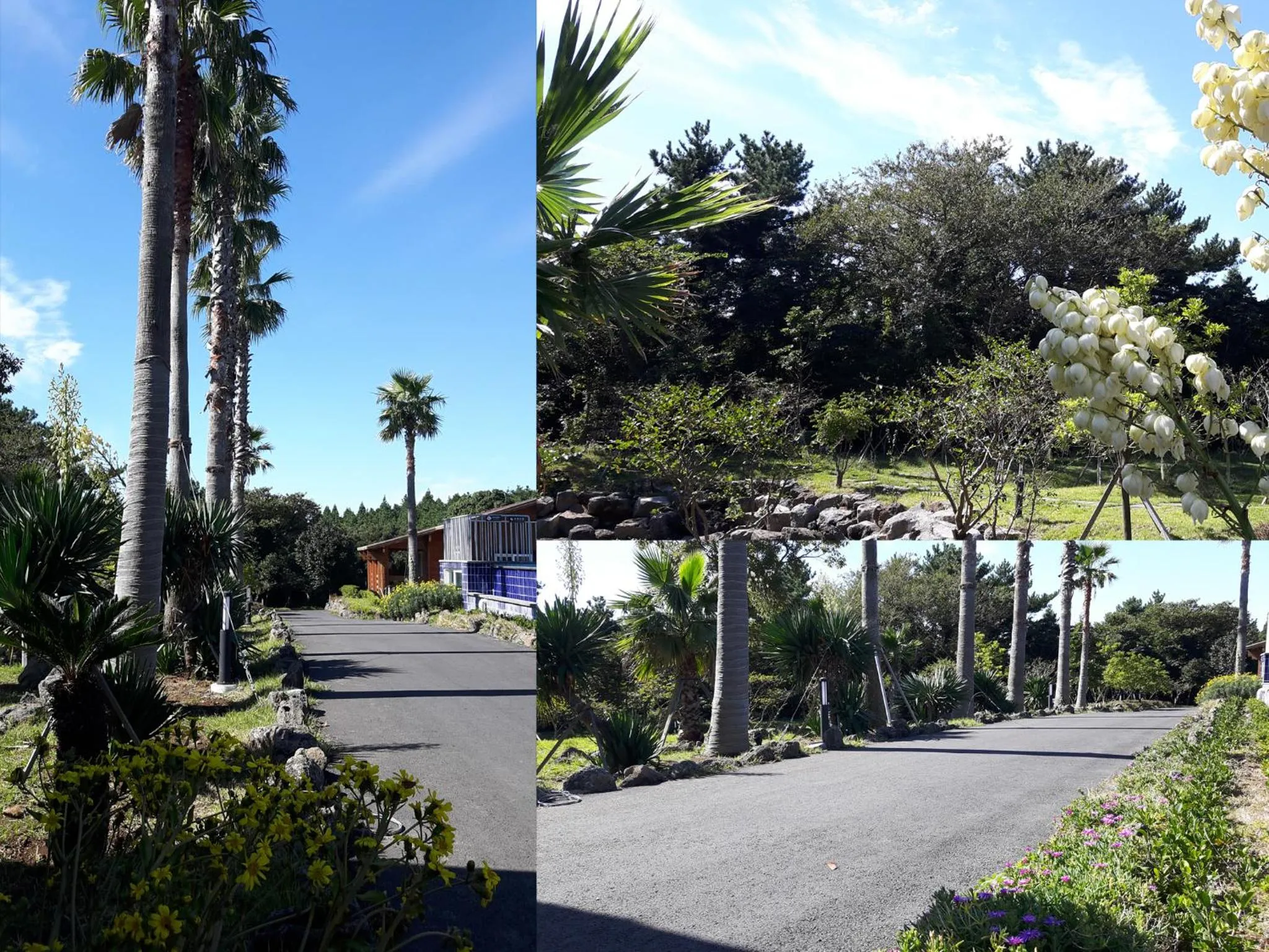 Day in Jeju I've Hotel & Resort