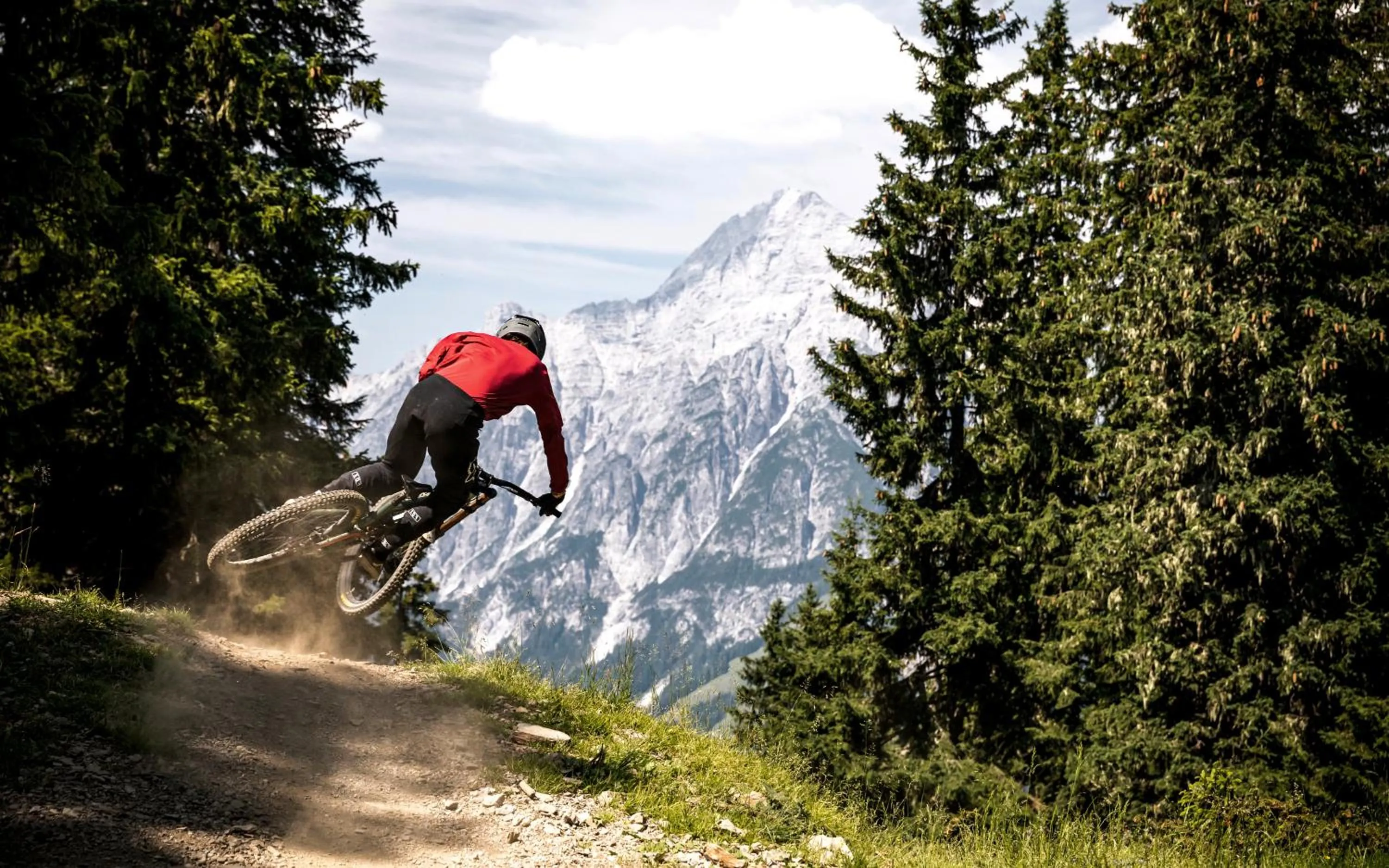 Area and facilities in Hotel DAS SAAL