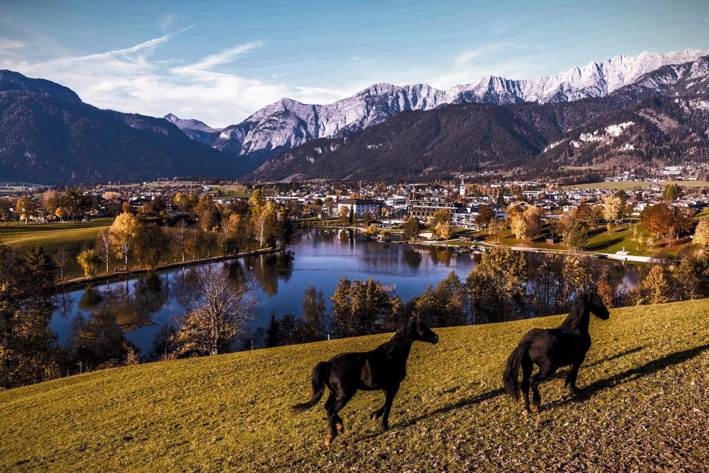 Area and facilities in Hotel DAS SAAL