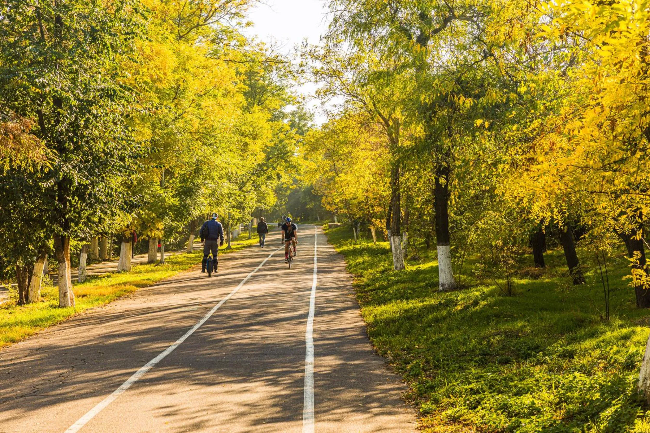 Activities in Design Hotel Skopeli