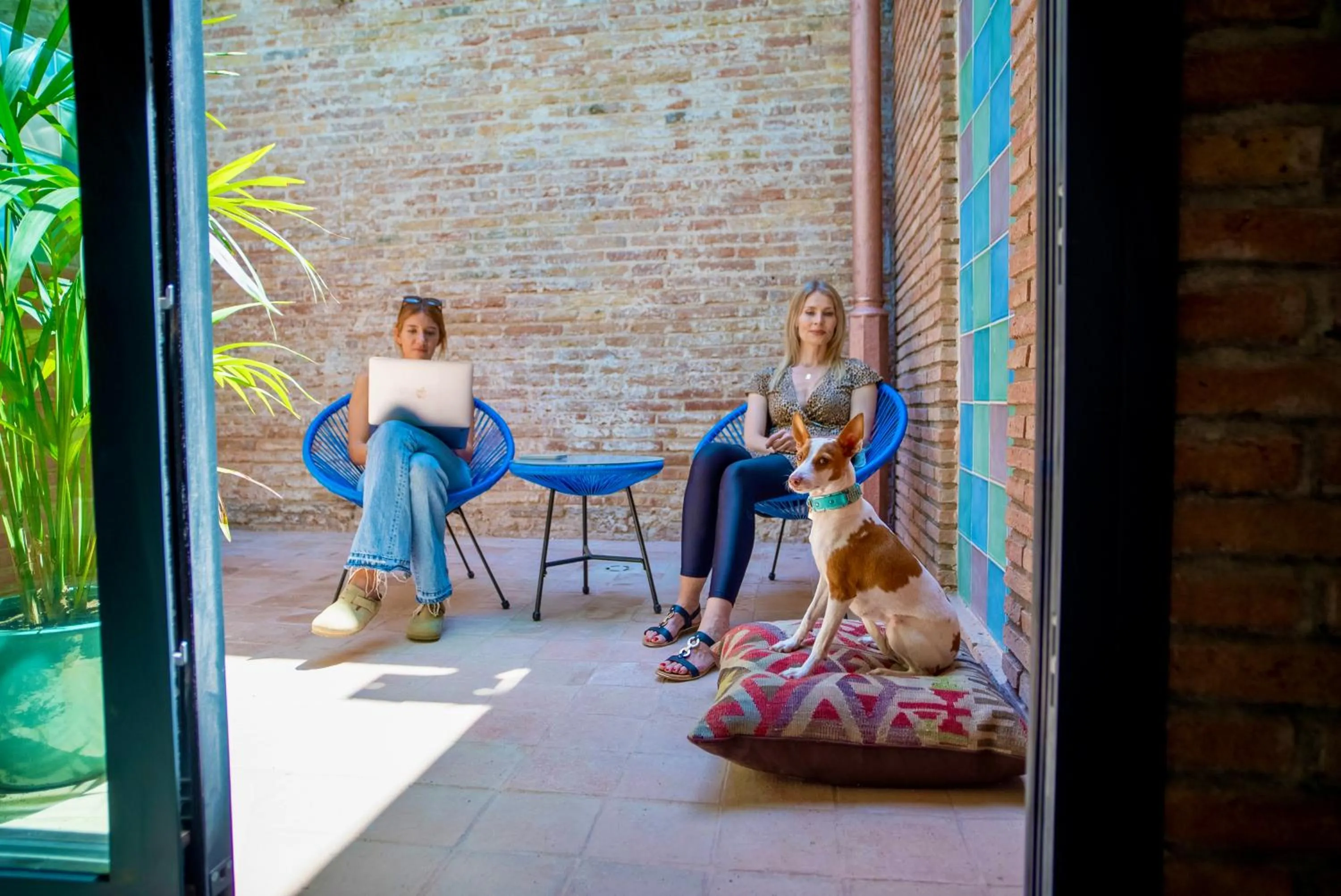 Balcony/Terrace in Hotel Lincoln Lounge