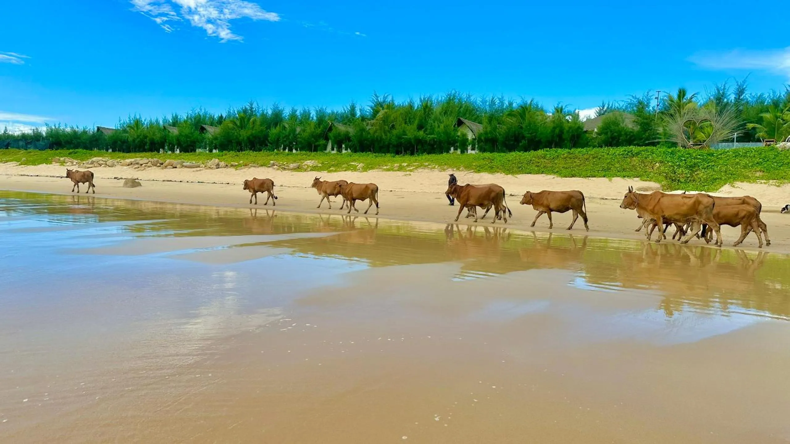 Photo of the whole room in Hoa Loi Resort Phú Yên