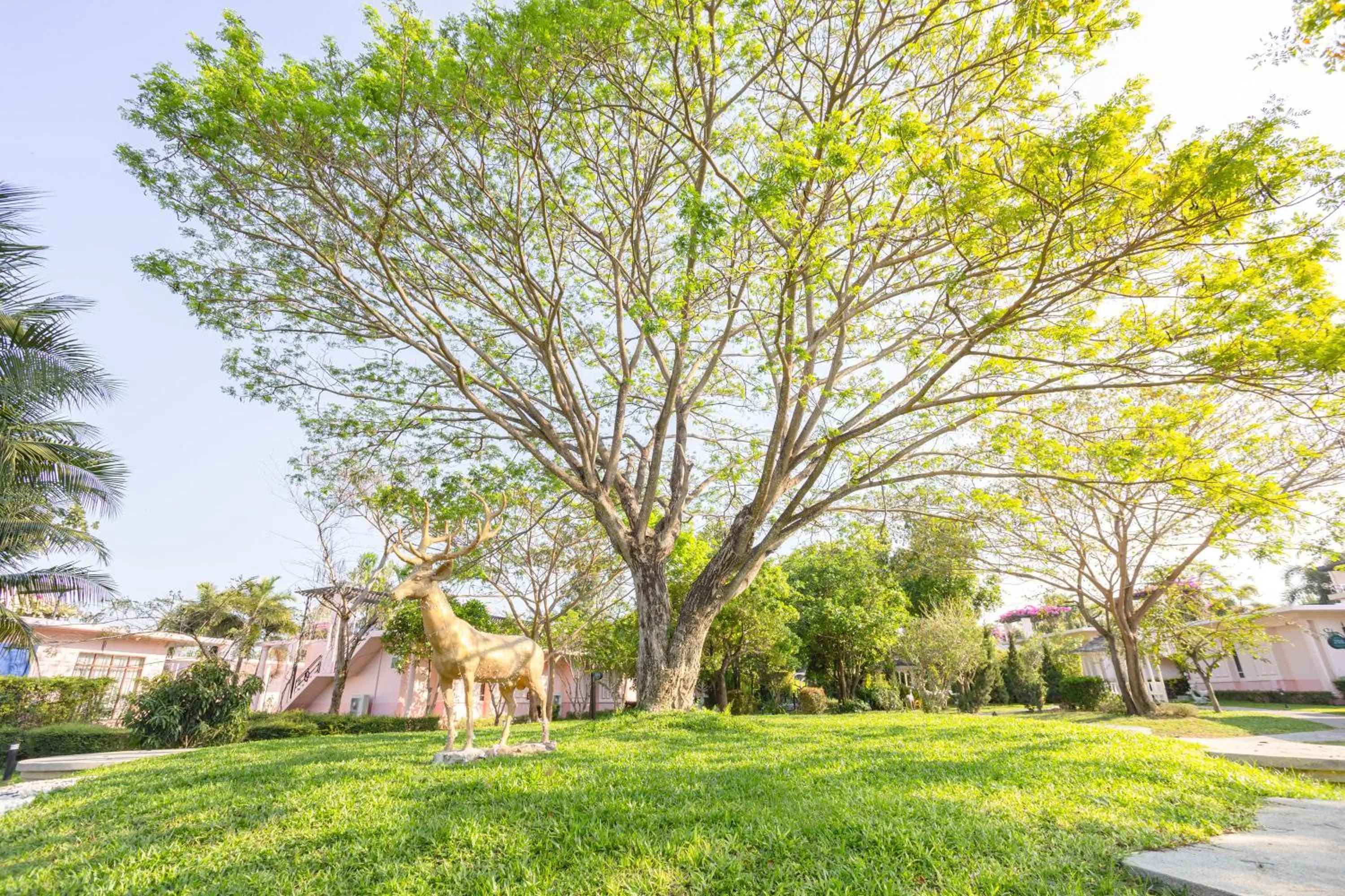 Spring in The Sea-Cret Garden Hua Hin