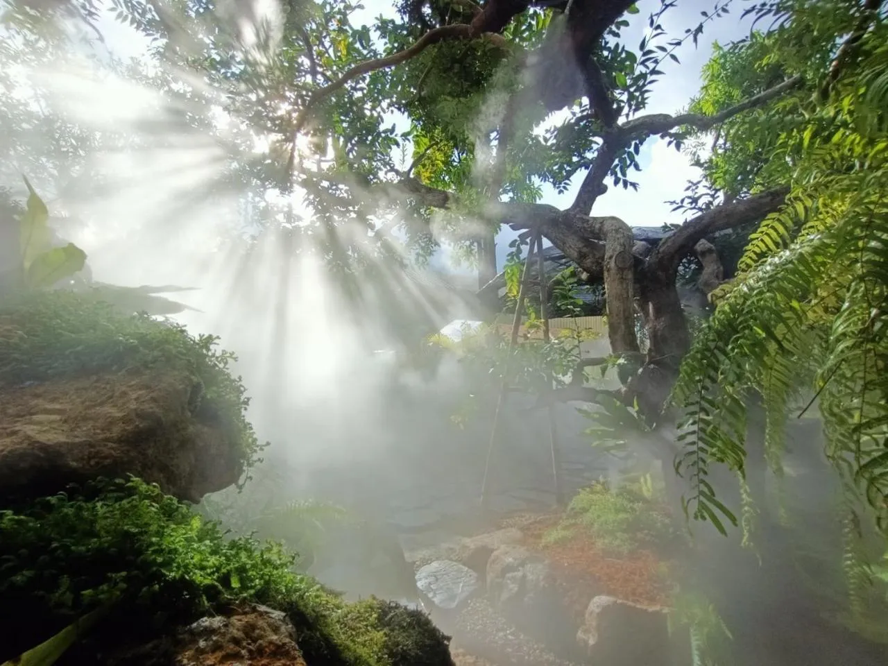 Garden in P.Paradise Hotel