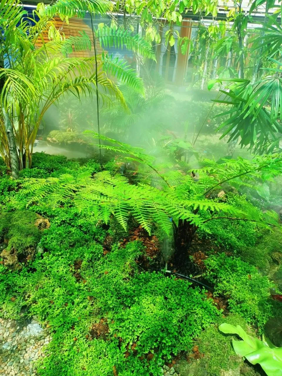 Garden in P.Paradise Hotel