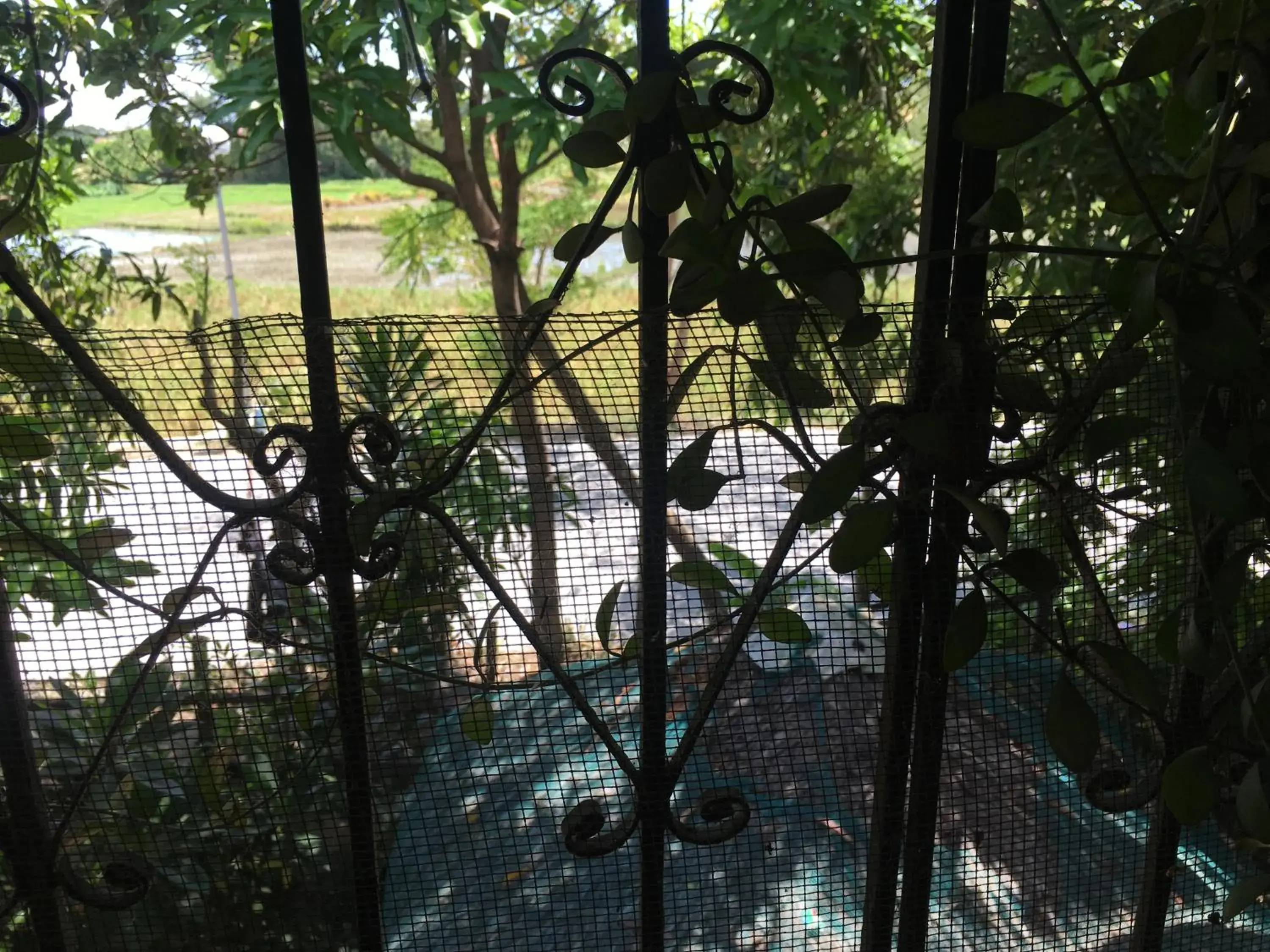 Double Room with Terrace in Guesthouse Cavite Double Room with Terrace in Guesthouse Cavite