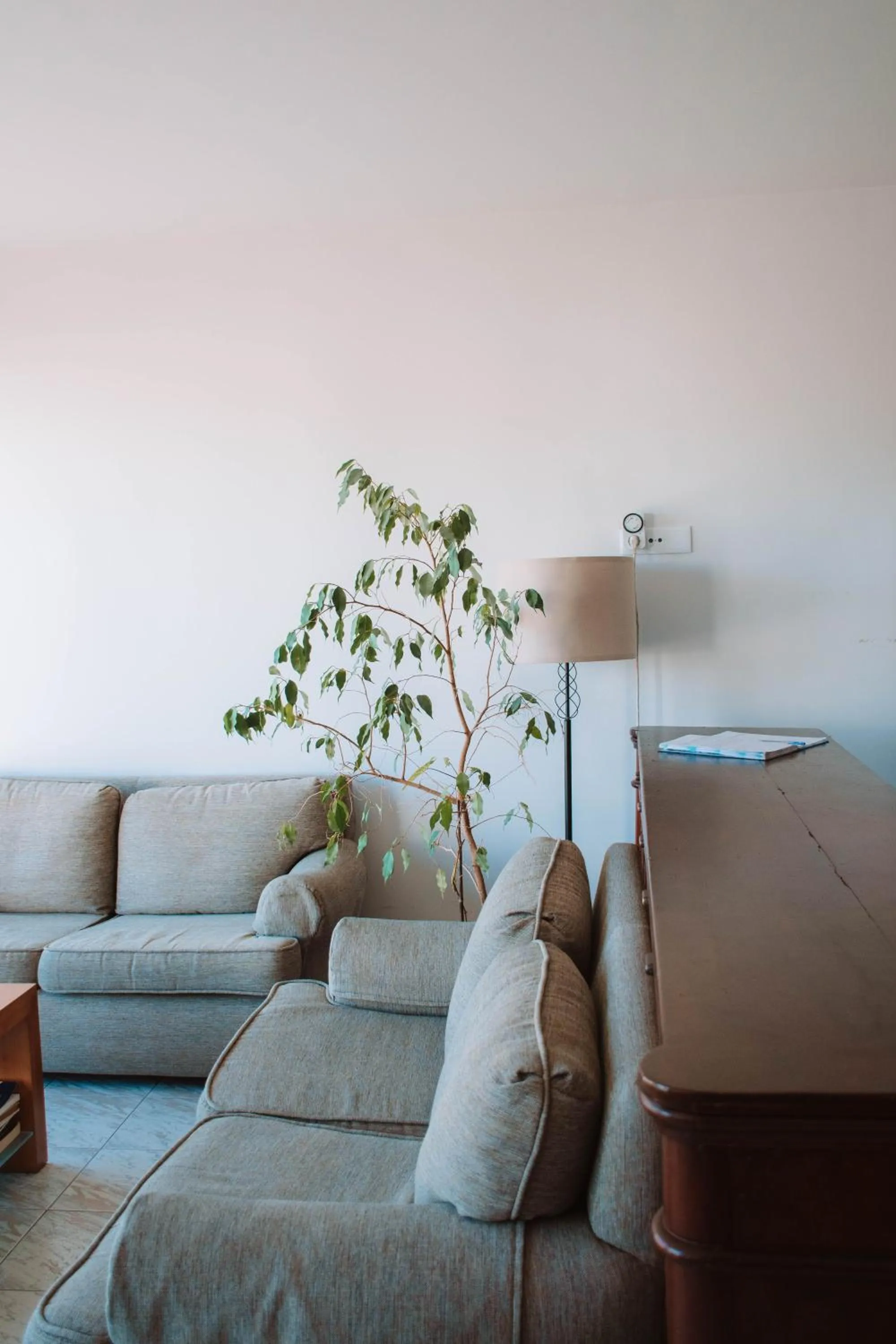 Living room in Arca Nova Guest House - Caminha