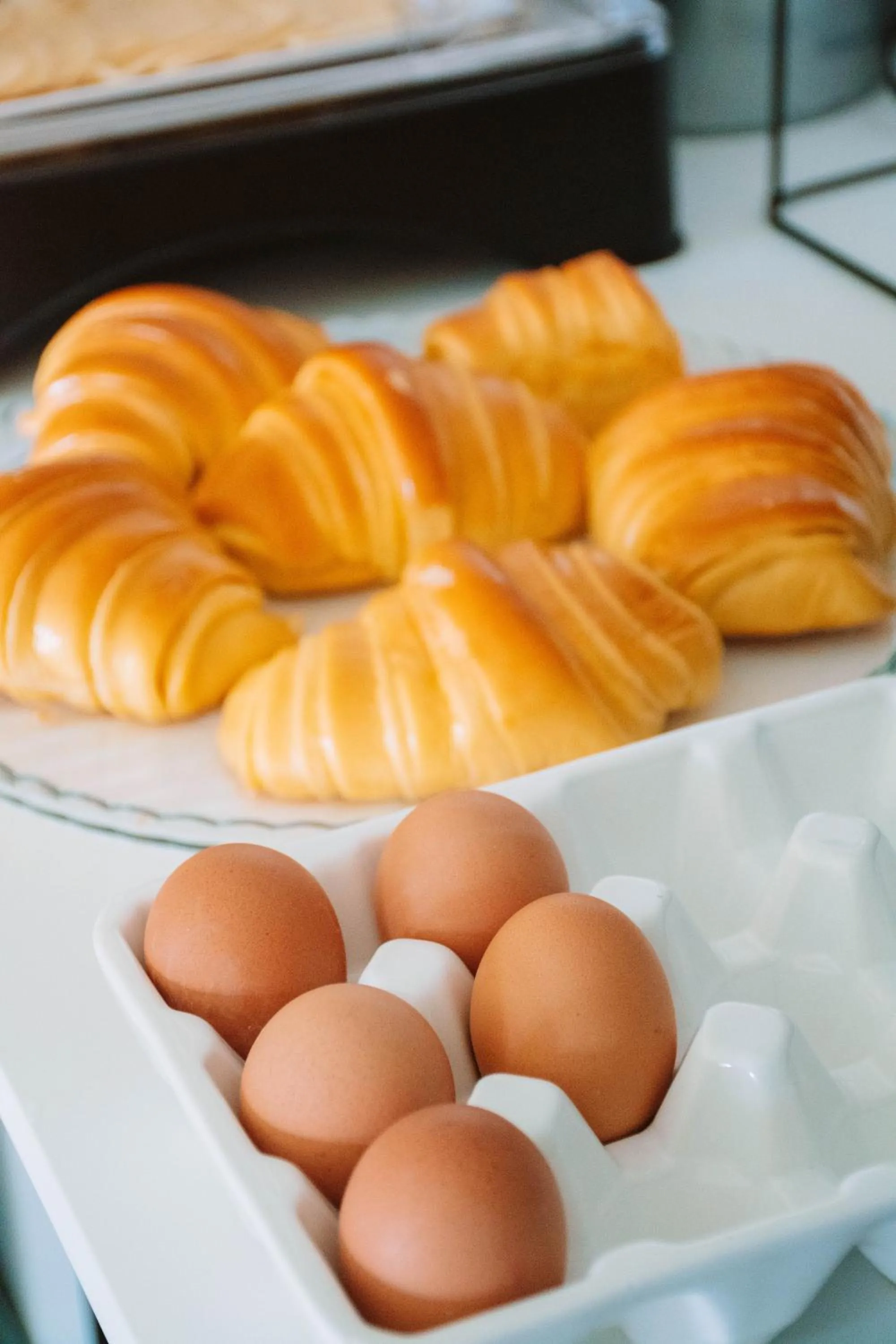 Food and drinks in Arca Nova Guest House - Caminha