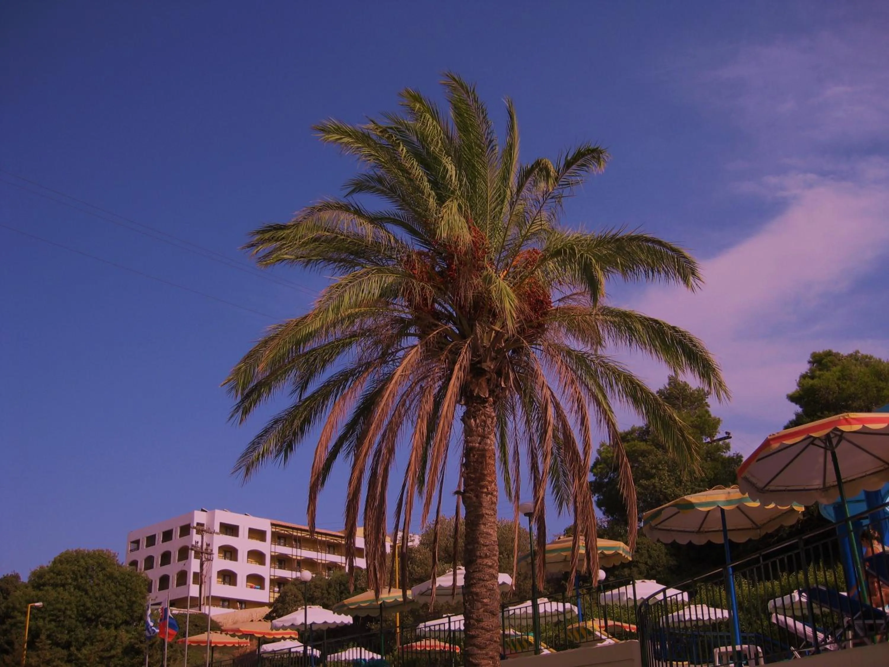 Decorative detail in Romantza Mare