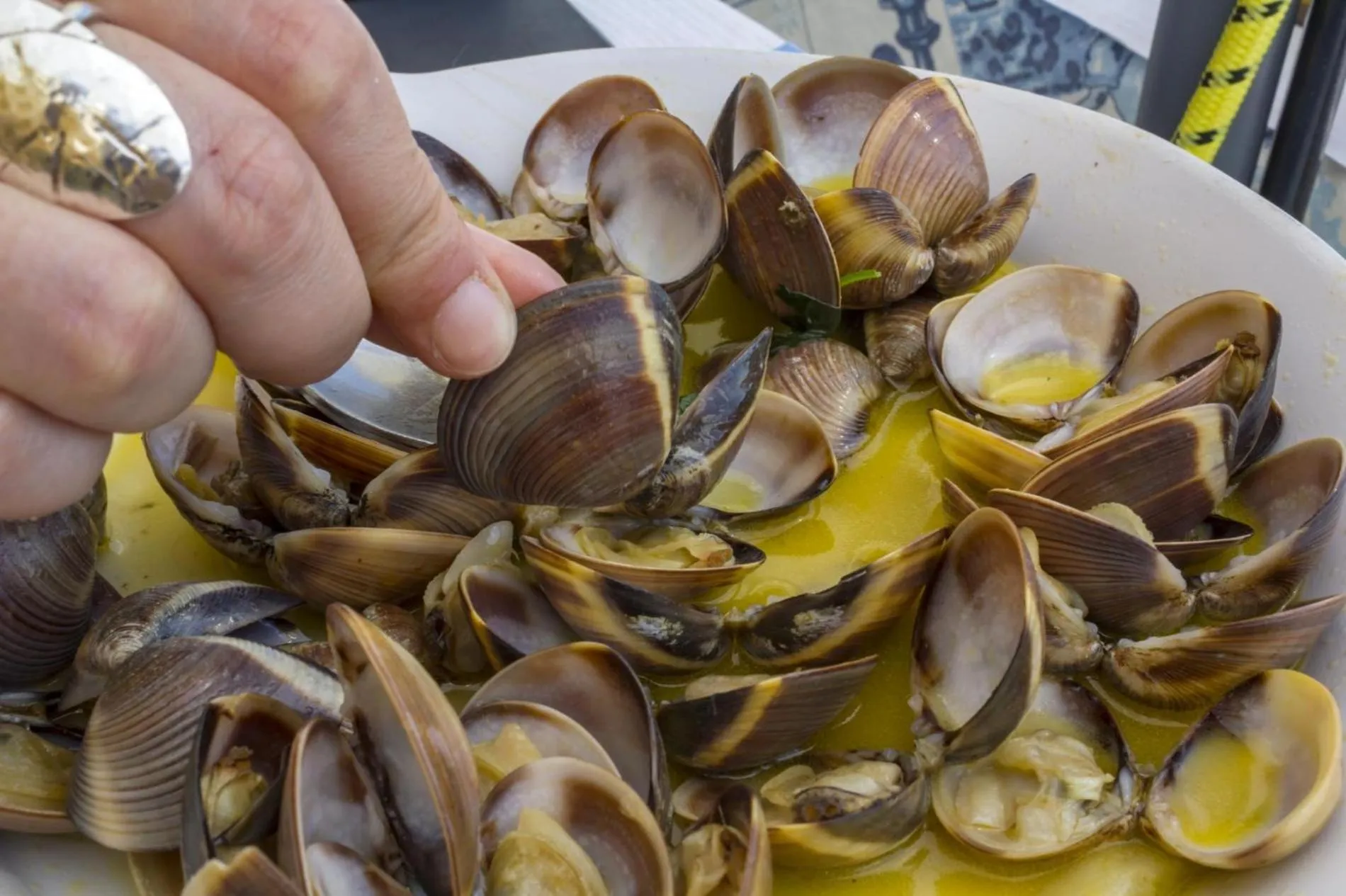 Floor plan in B25 - Candimar Beach Apartment