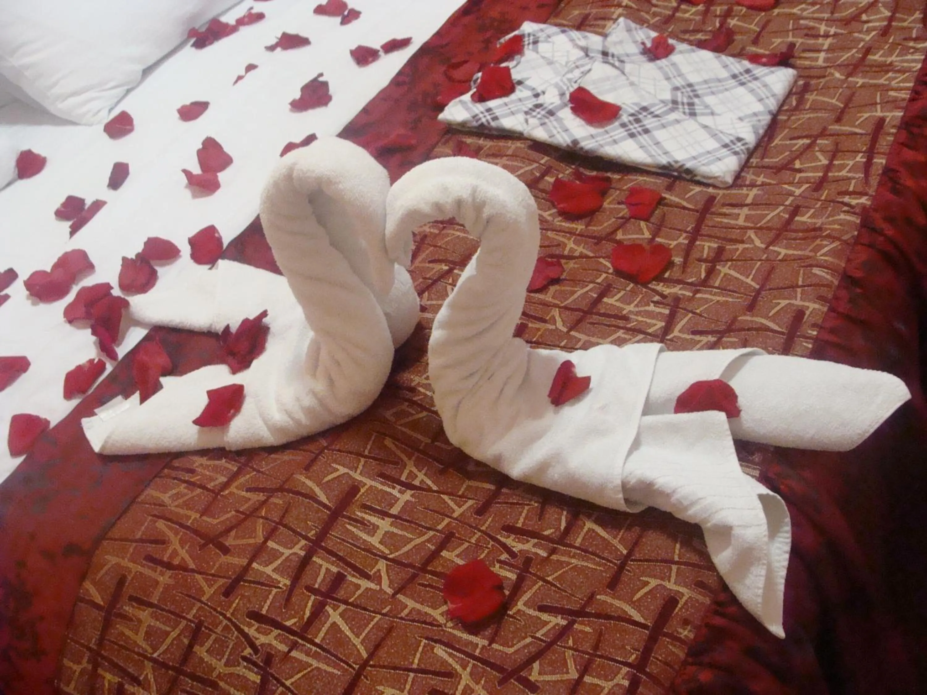 Superior Apartment in Shellman Apart Hotel