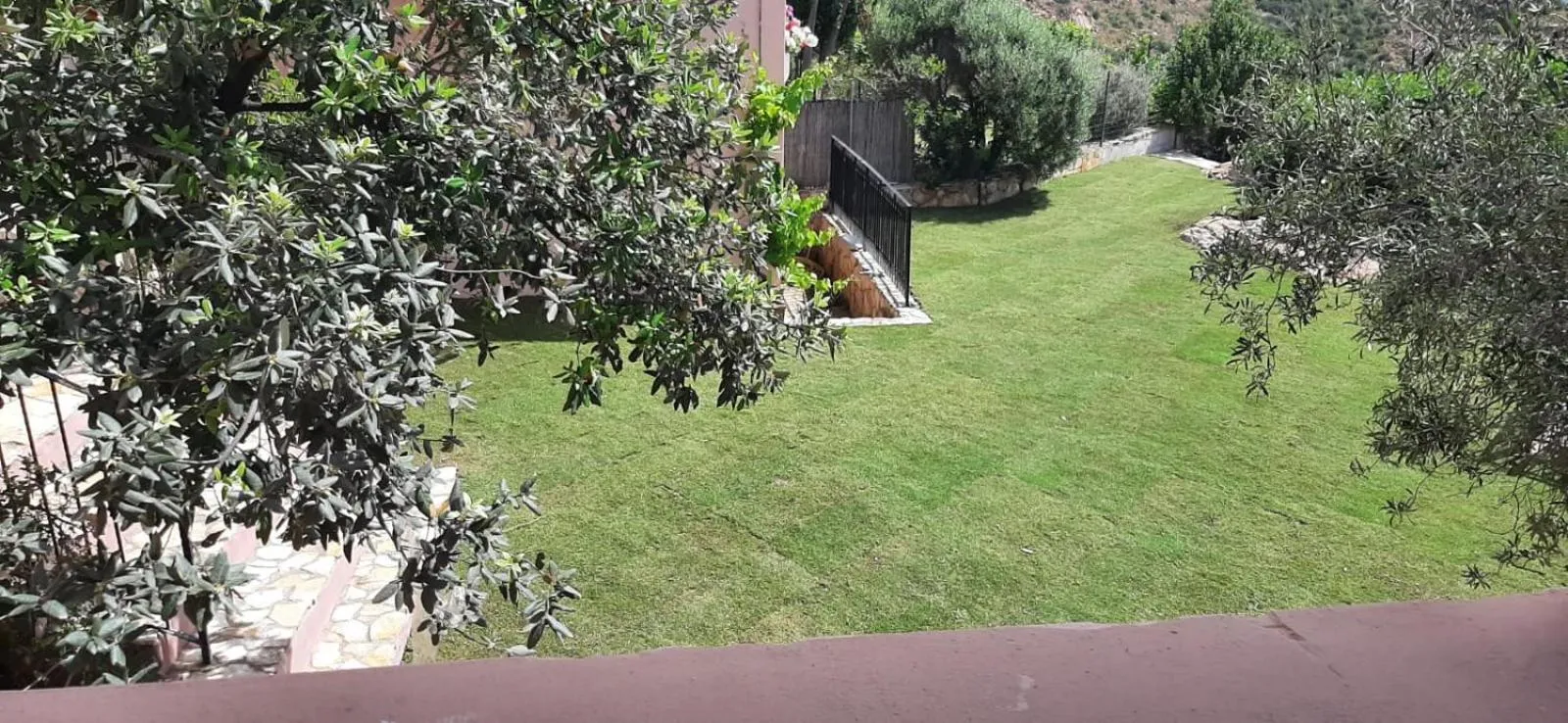 Garden in Casa Grazia e Enrico
