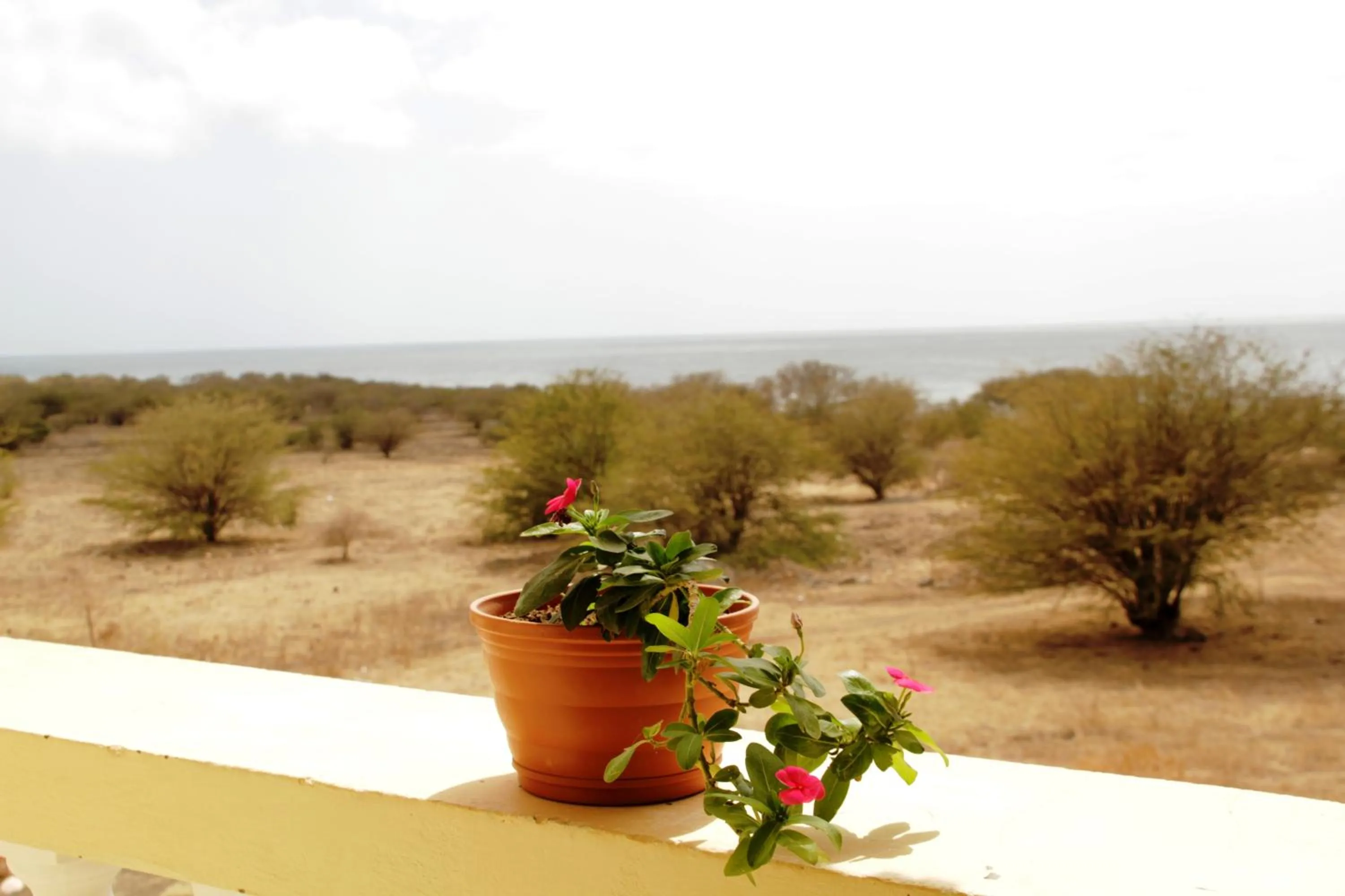 Sea view in Casa Strela B&B Tarrafal
