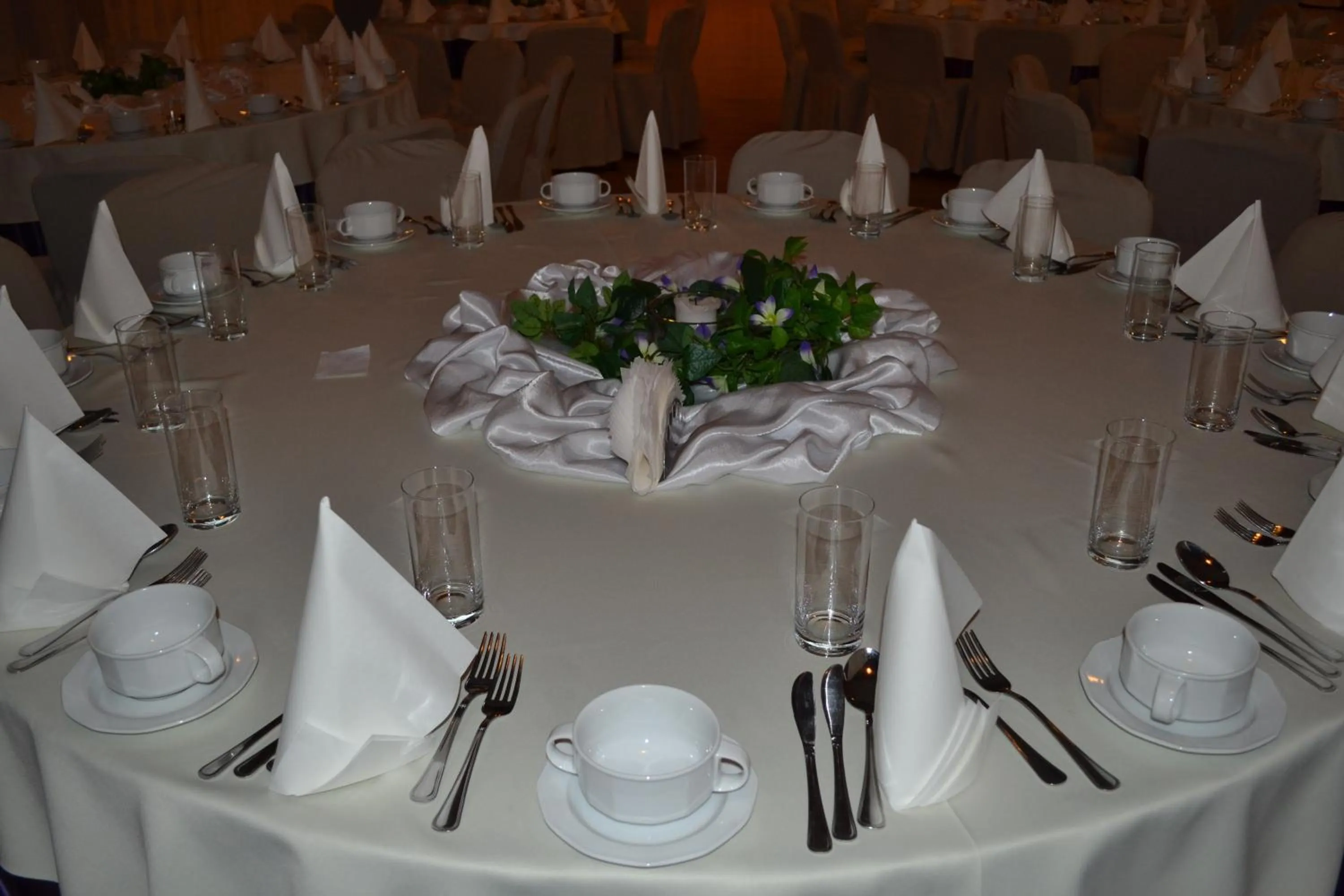 Banquet/Function facilities in Hotel Akor