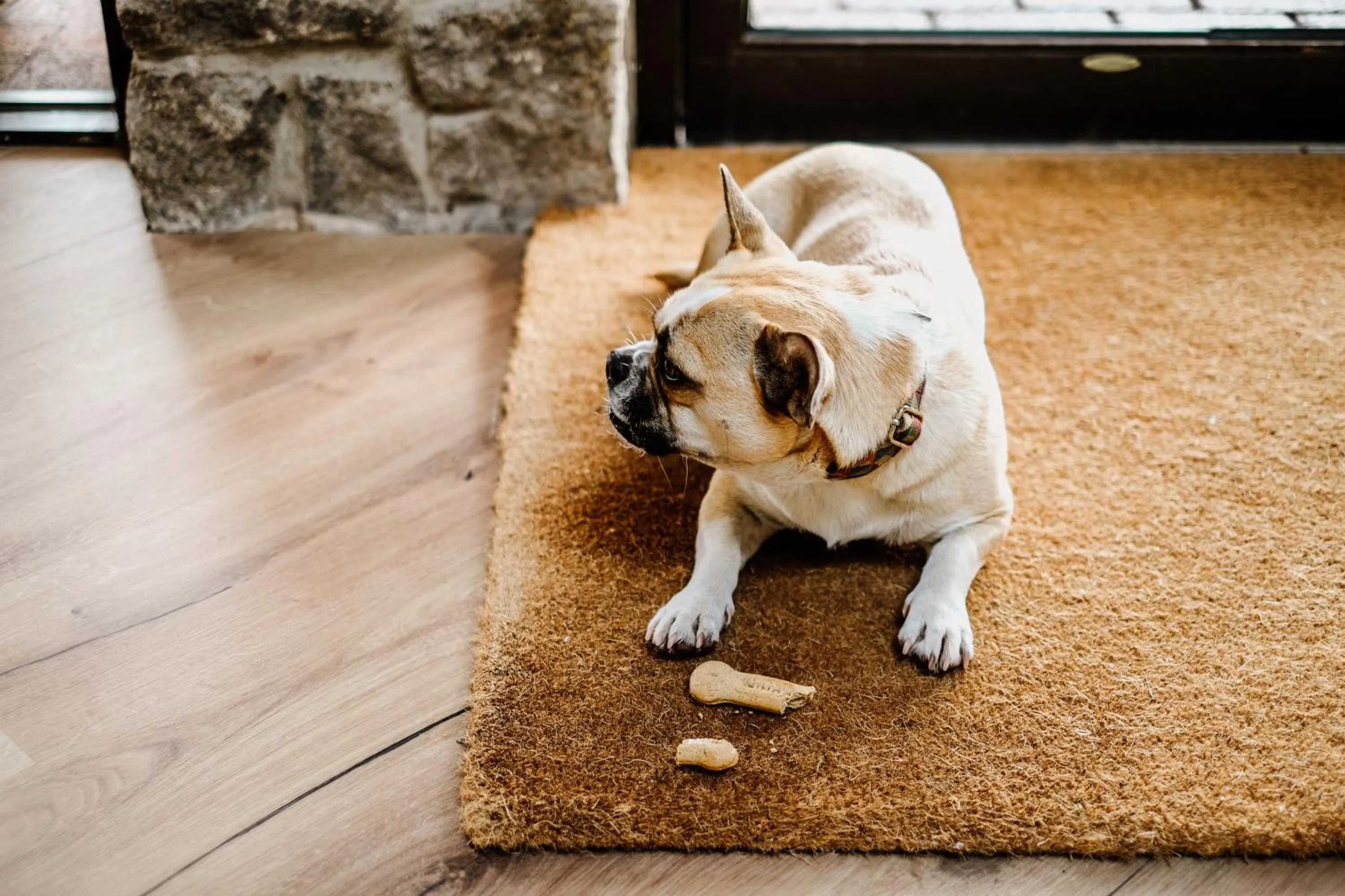 Dartmoor Lodge Hotel