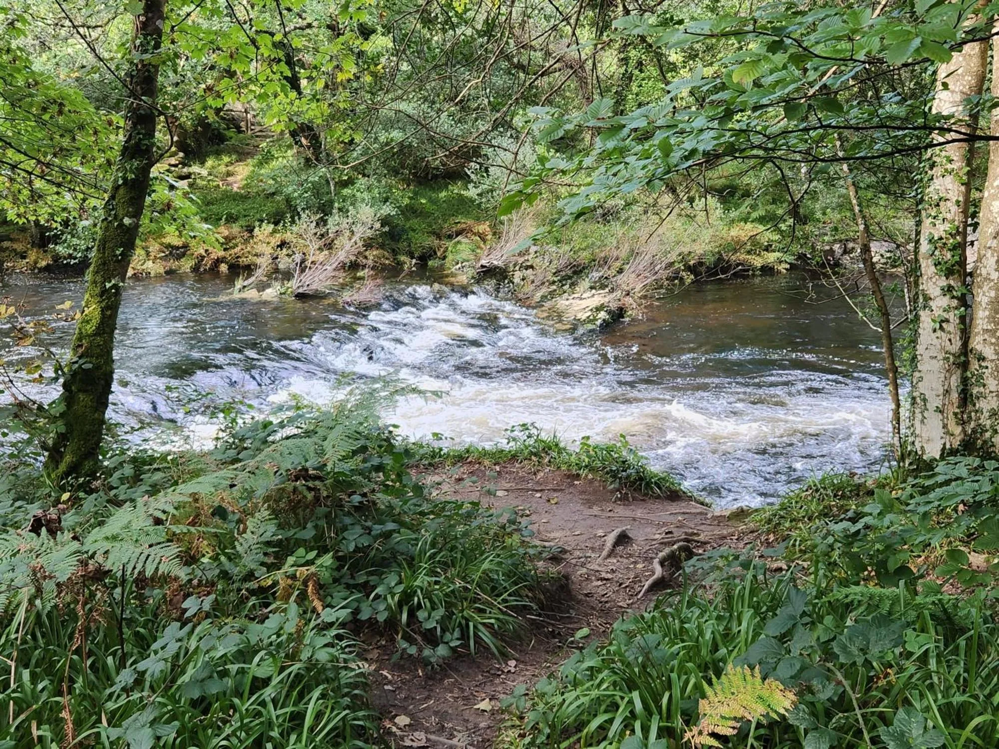 Natural landscape in Dartmoor Lodge Hotel