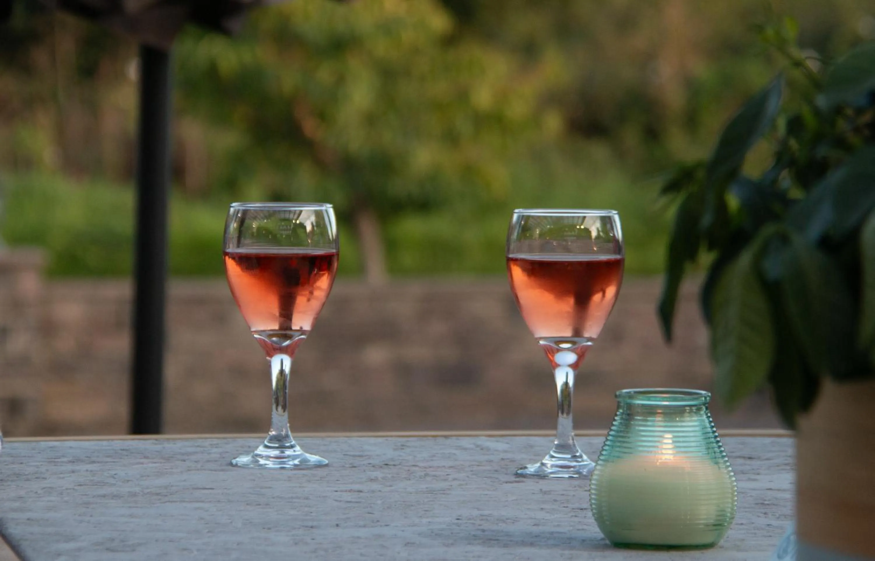 Day in Dartmoor Lodge Hotel