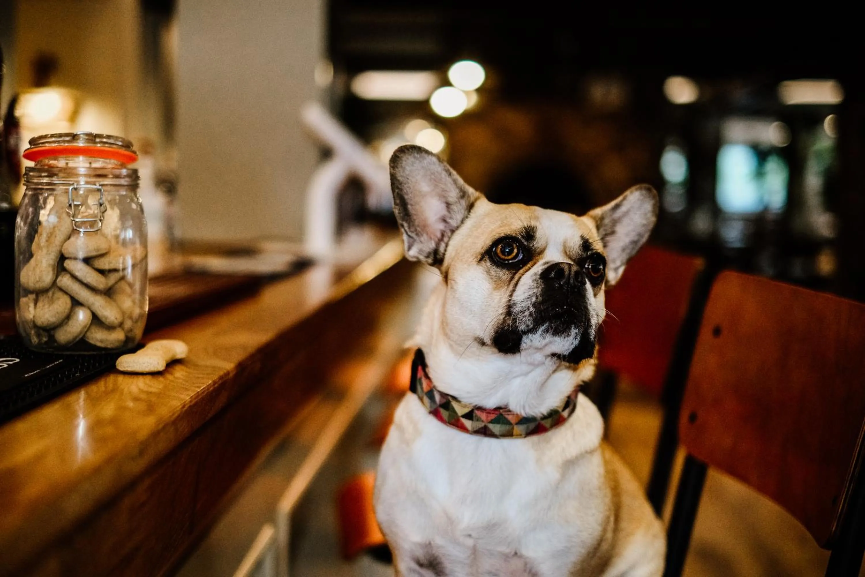 Dartmoor Lodge Hotel