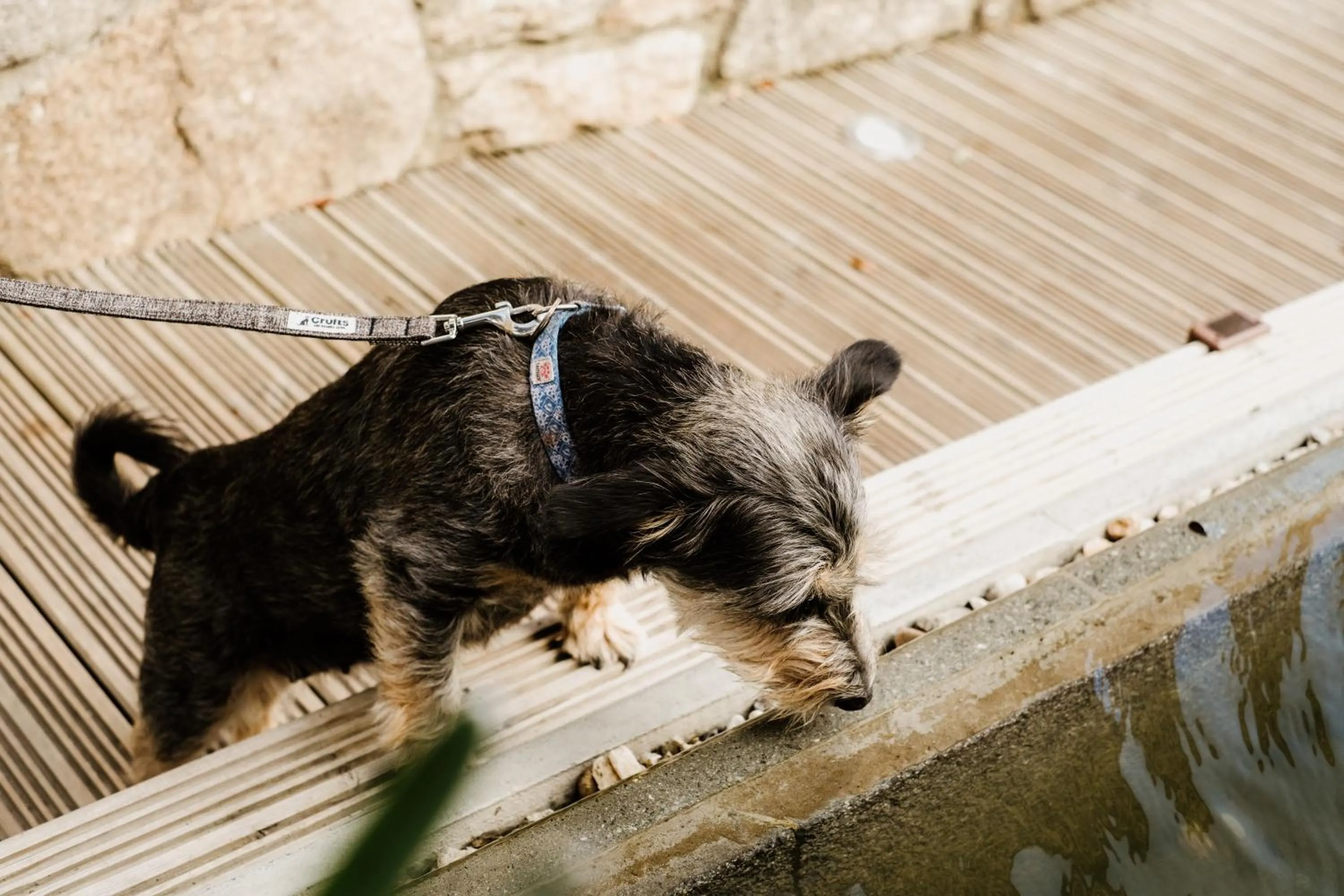 Dartmoor Lodge Hotel
