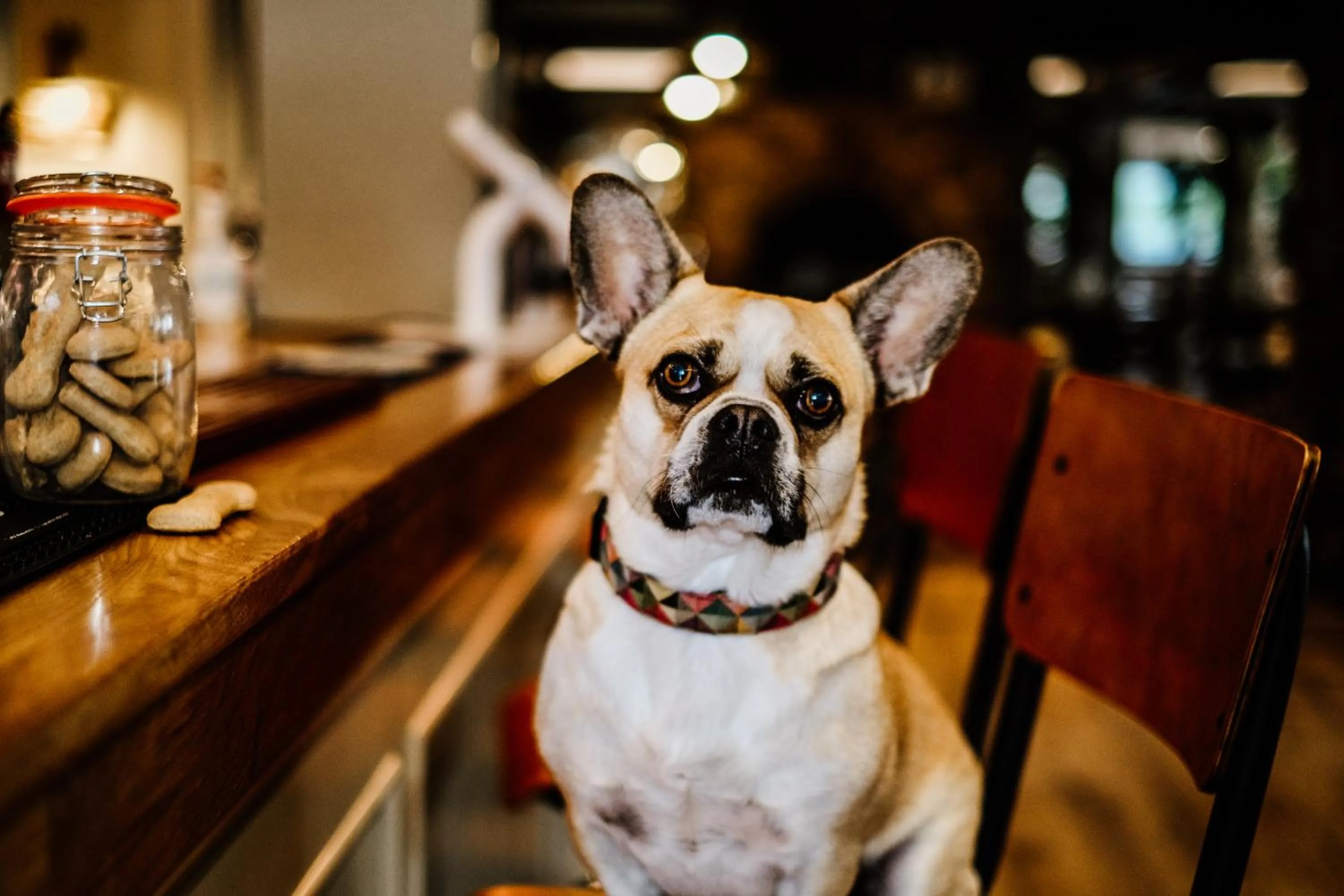 Dartmoor Lodge Hotel