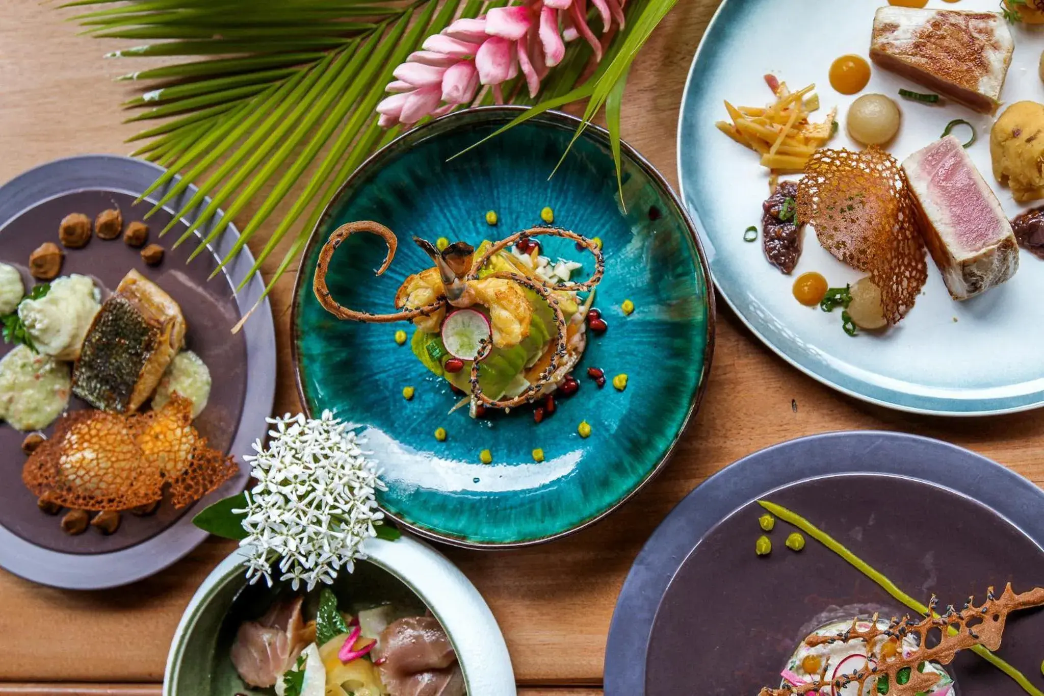 Jardin Malanga Jardin Malanga