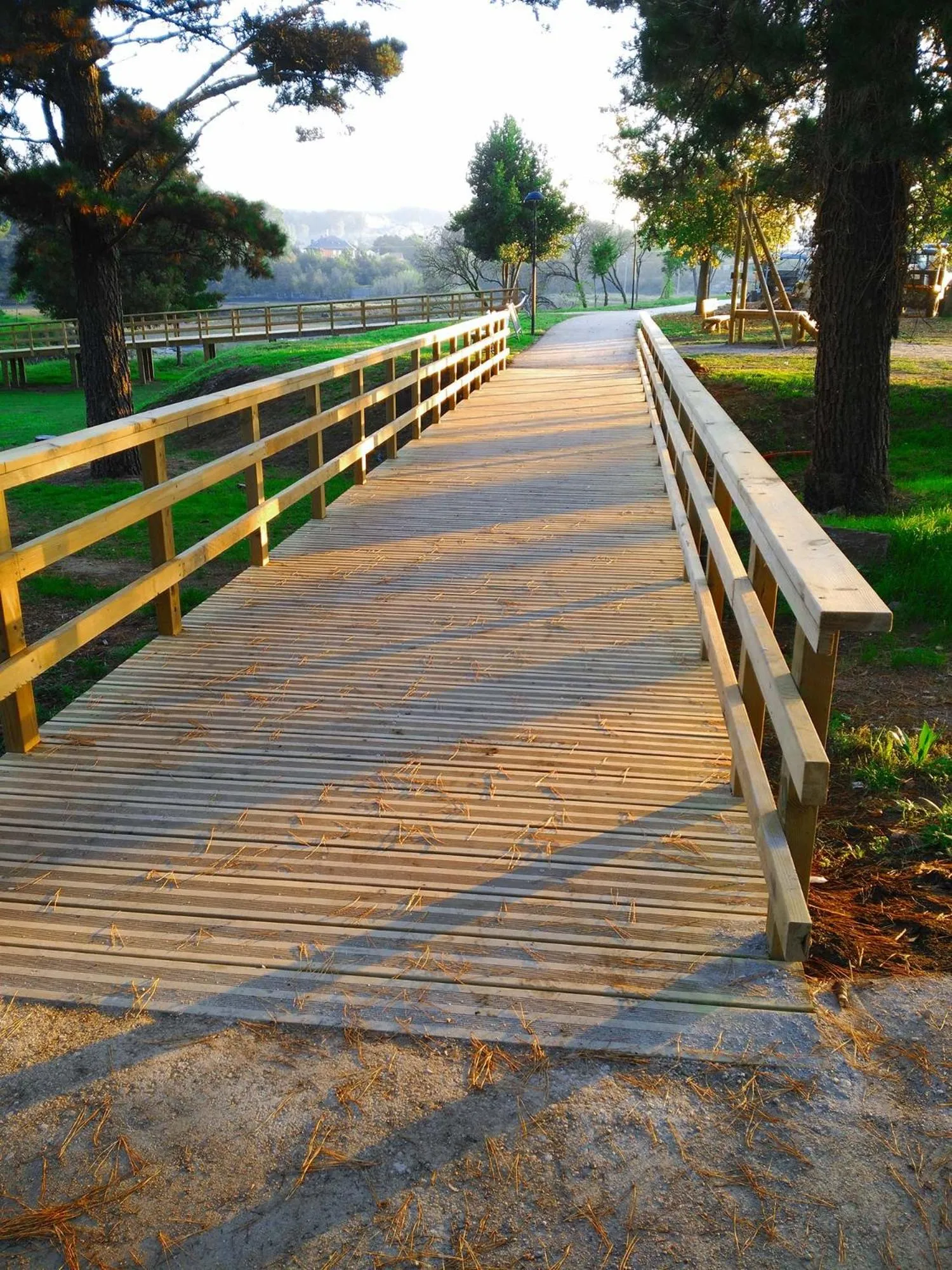 Garden in Hotel Jopi