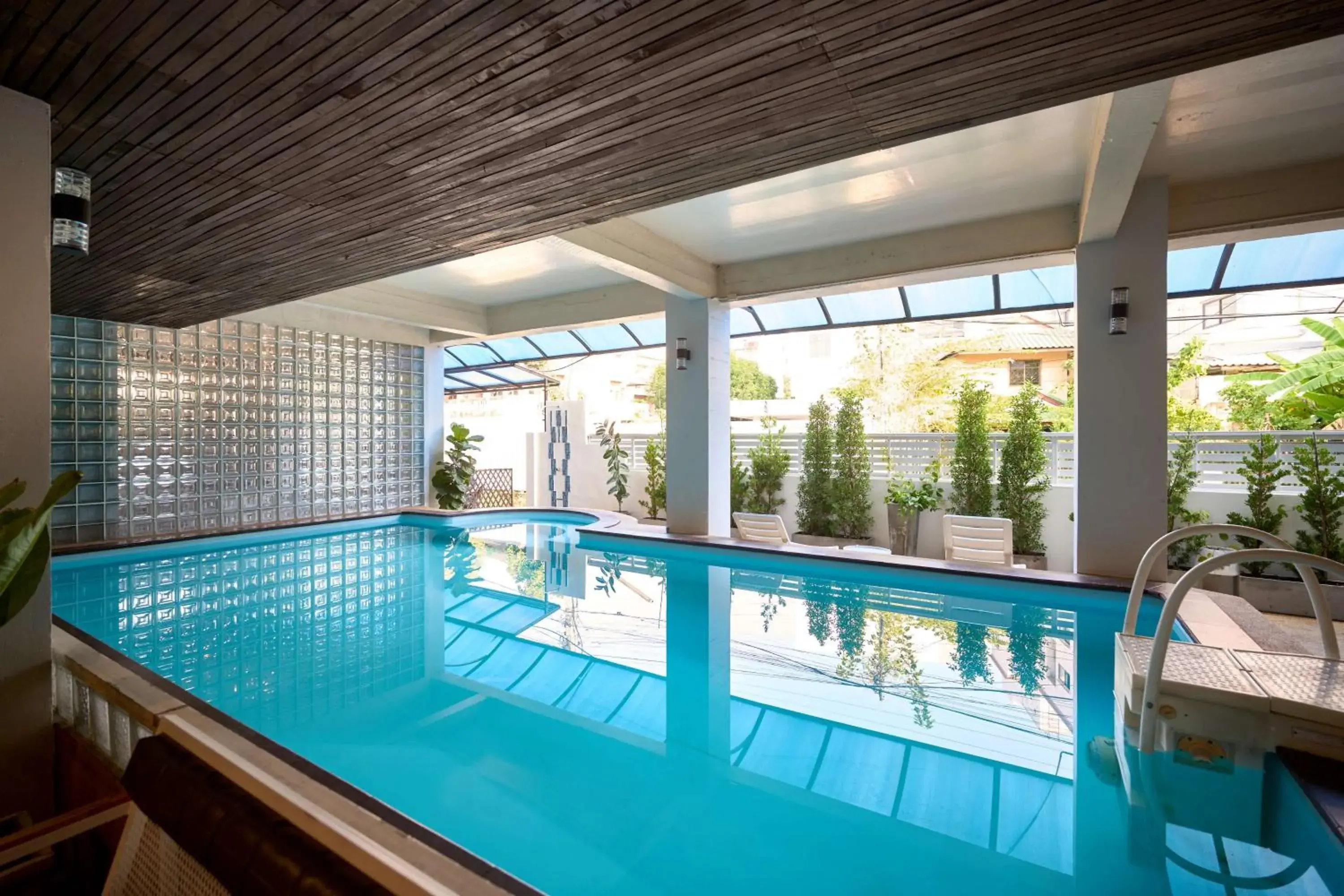 Swimming pool in Thapae60 Mini Hotel Swimming pool in Thapae60 Mini Hotel